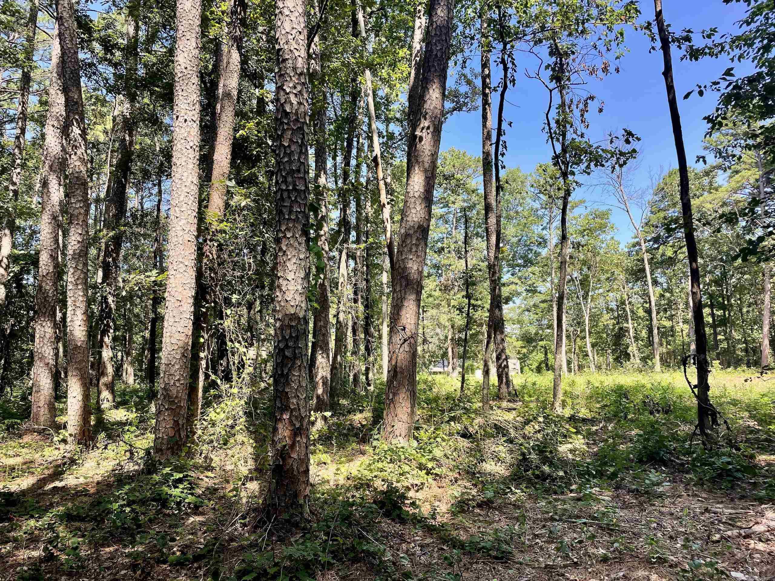 16519 Highway 16 W  Clinton, AR