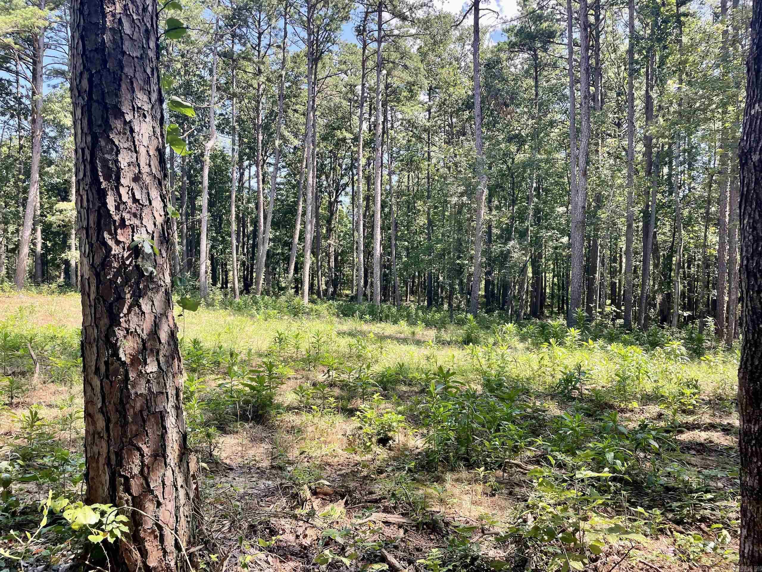 16519 Highway 16 W  Clinton, AR