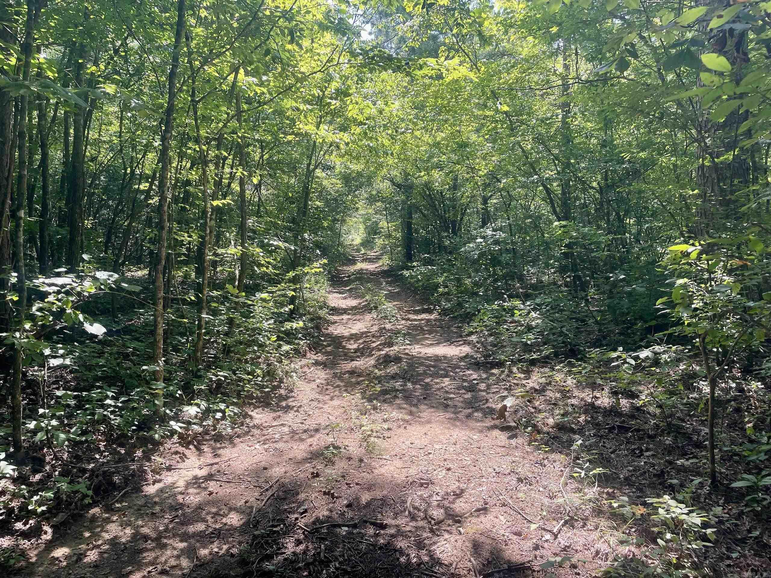 000 Acorn Road,  Jerusalem, AR