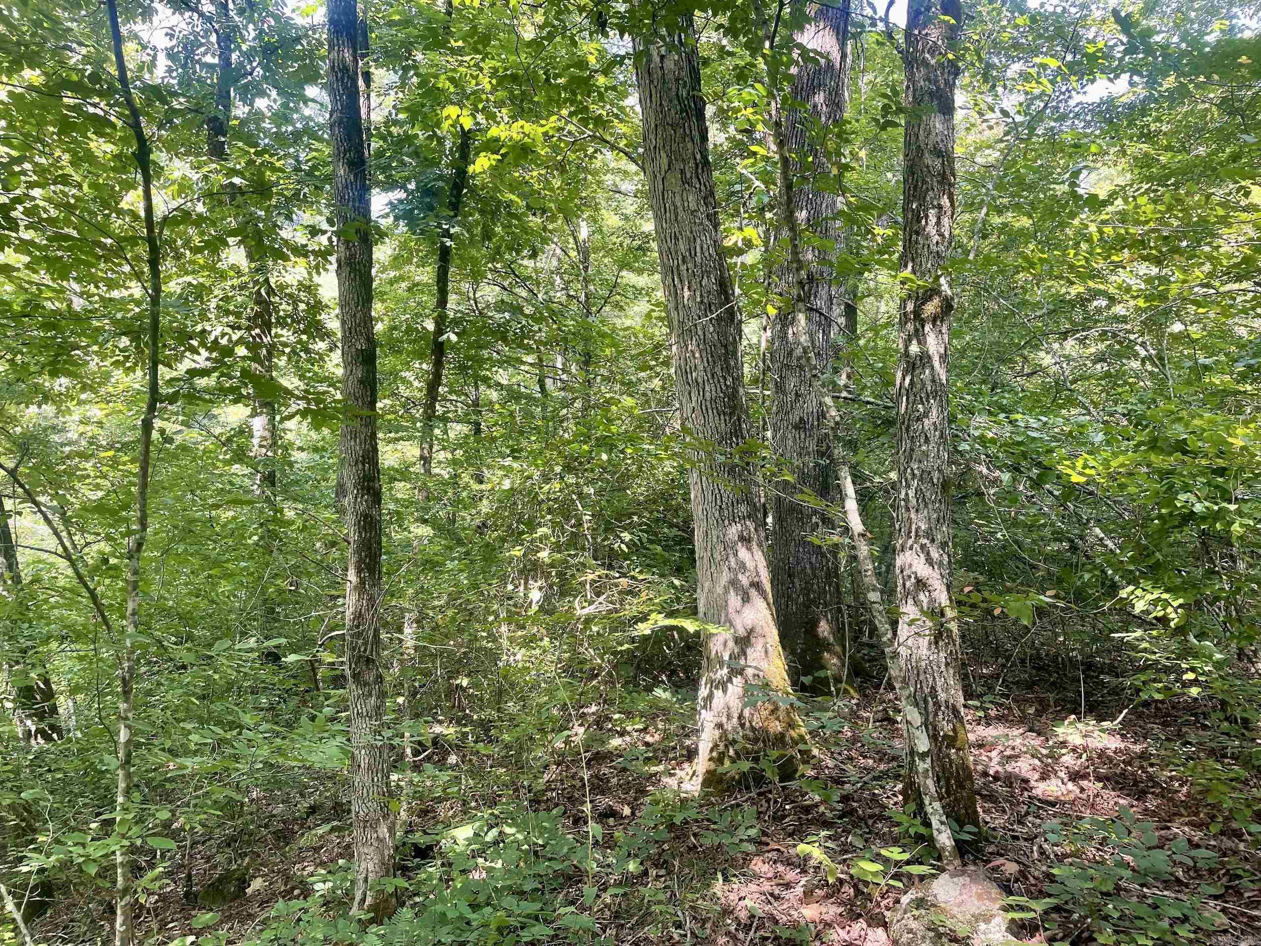 000 Acorn Road,  Jerusalem, AR