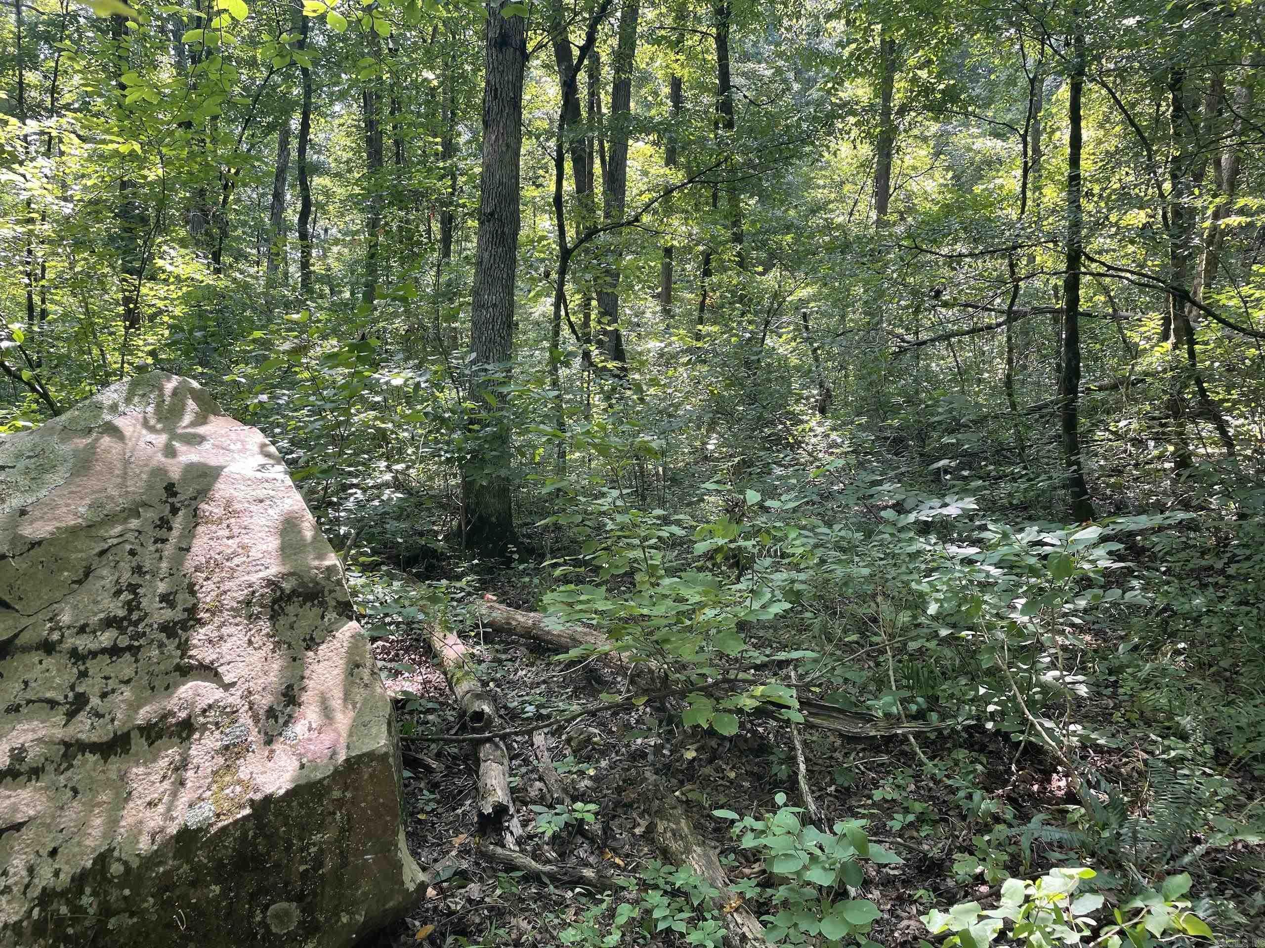 000 Acorn Road,  Jerusalem, AR