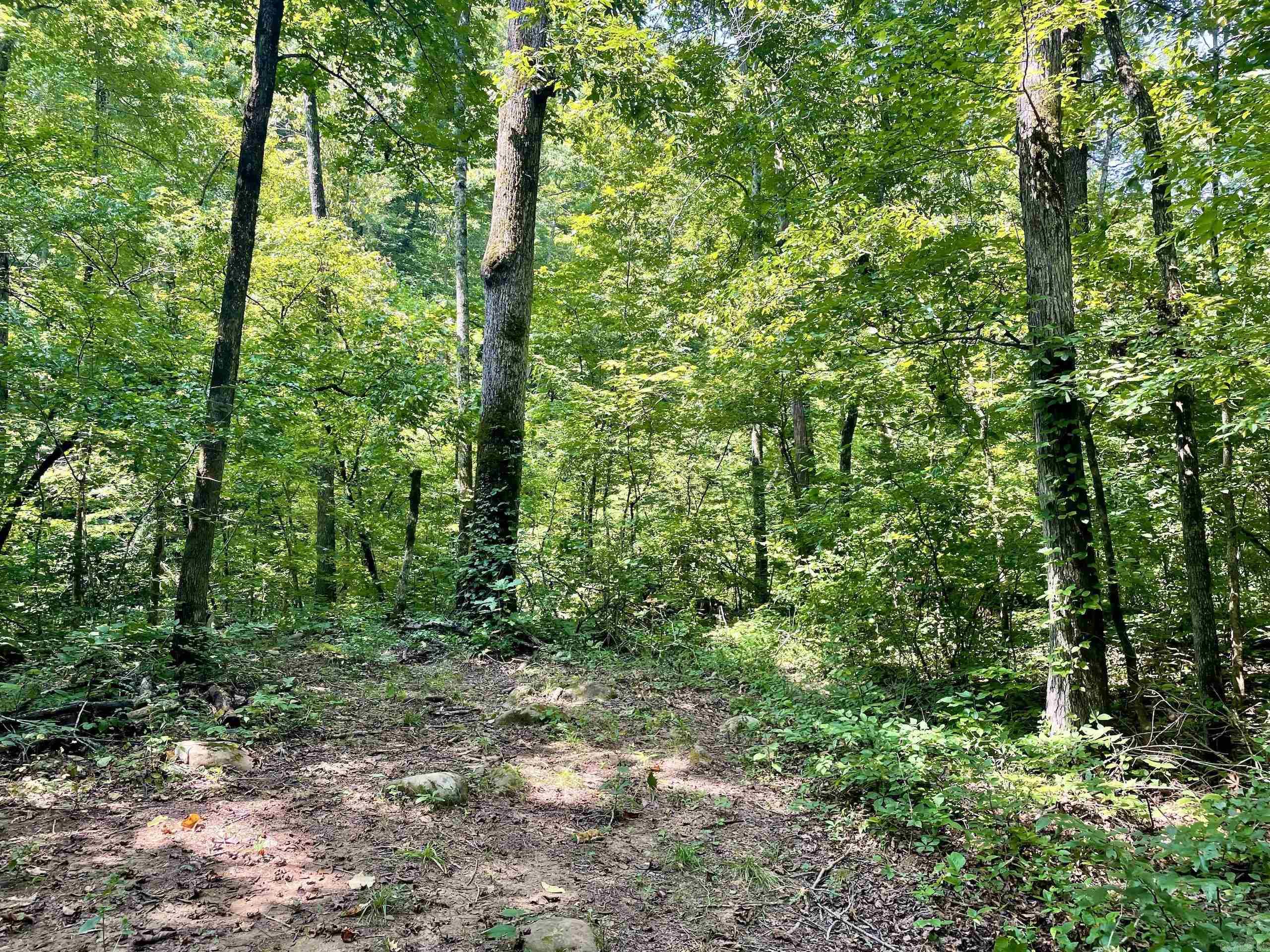 000 Acorn Road,  Jerusalem, AR