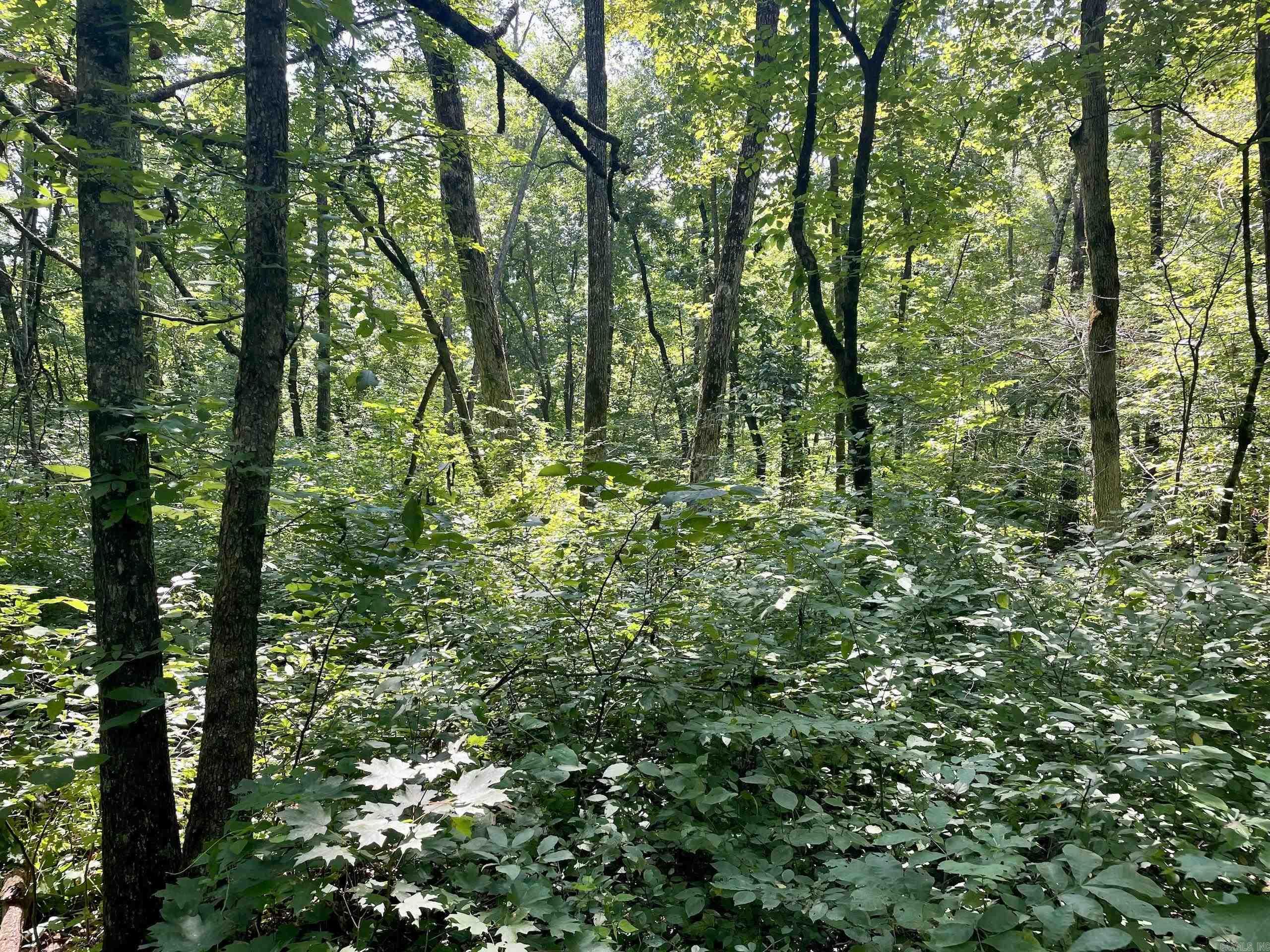 000 Acorn Road,  Jerusalem, AR