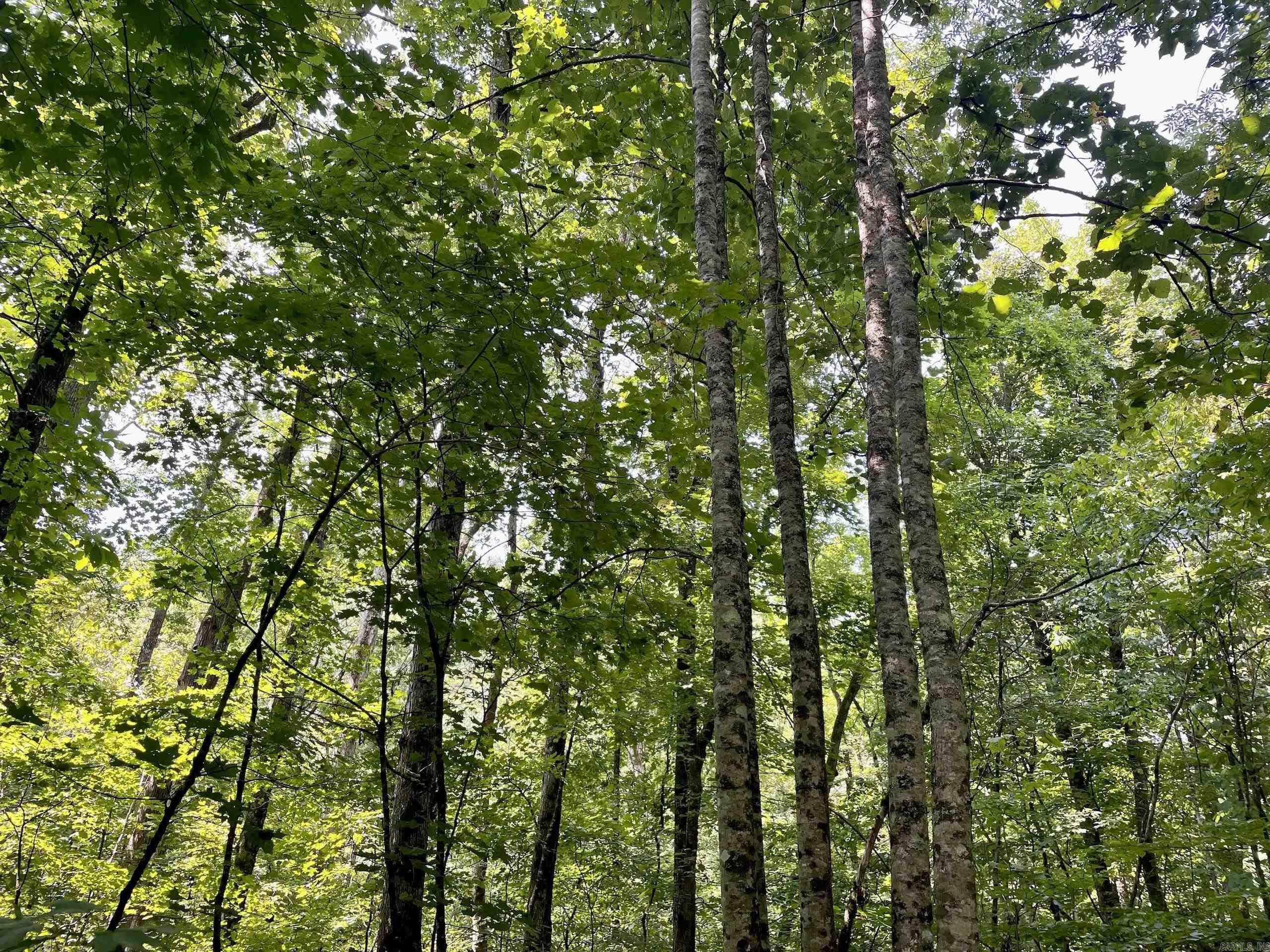 000 Acorn Road,  Jerusalem, AR