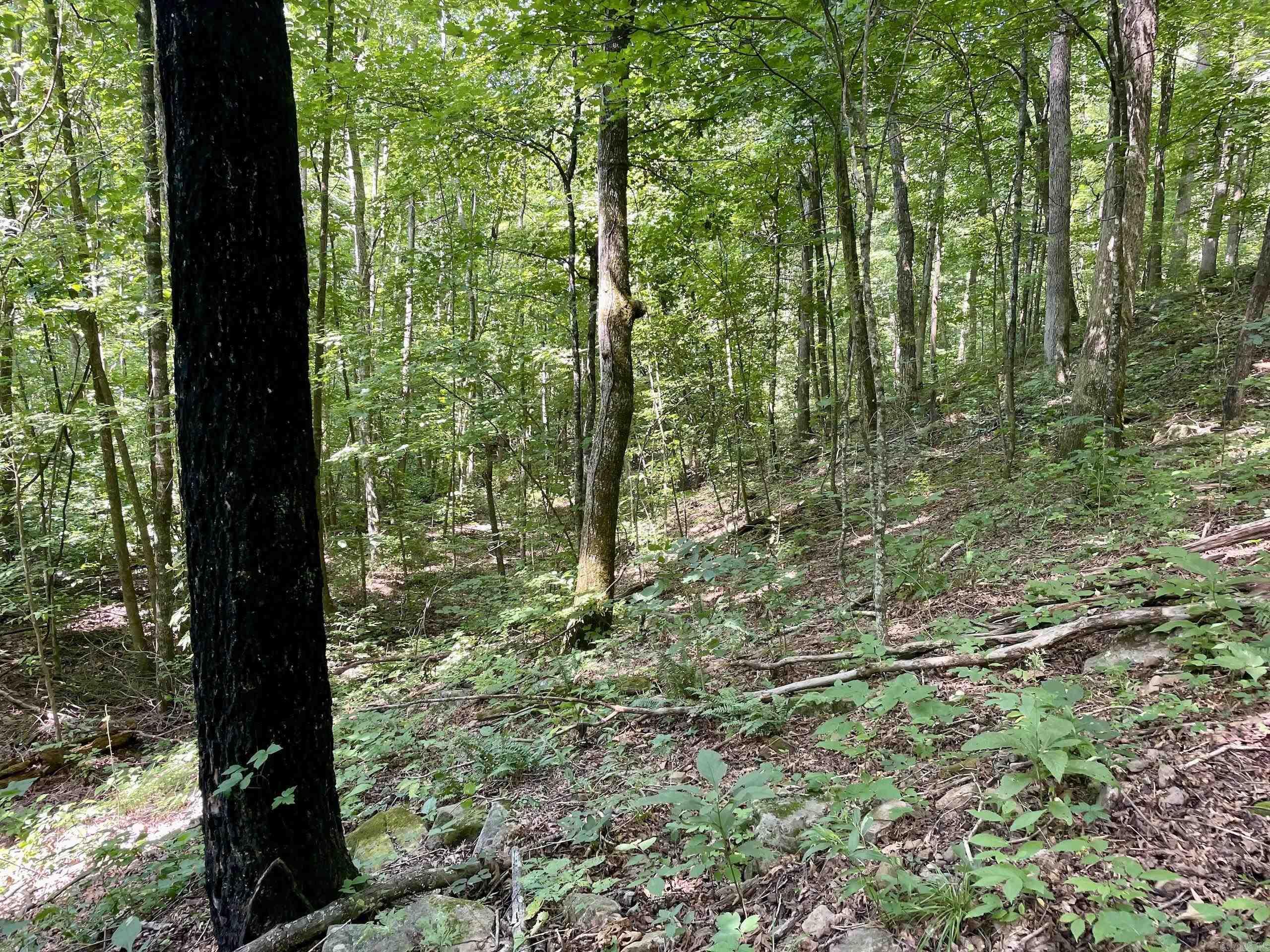 000 Acorn Road,  Jerusalem, AR