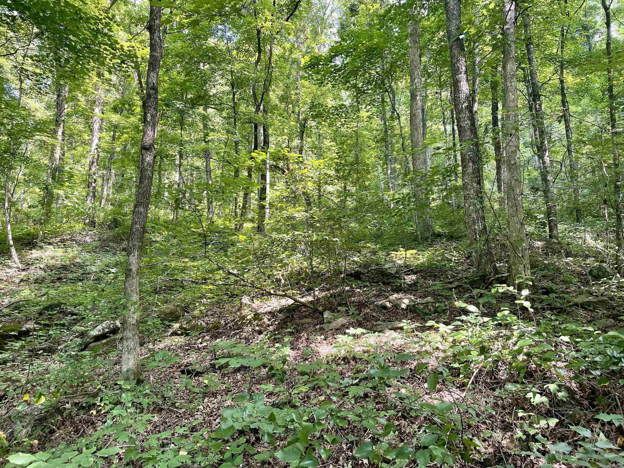 000 Acorn Road,  Jerusalem, AR