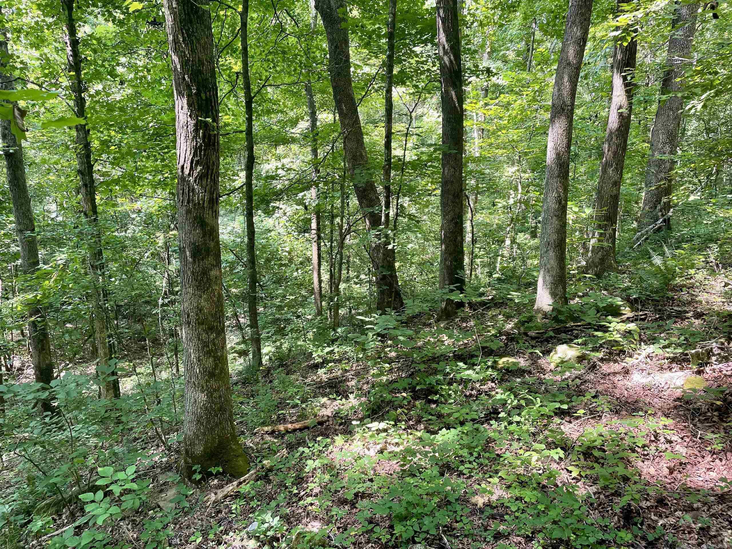 000 Acorn Road,  Jerusalem, AR