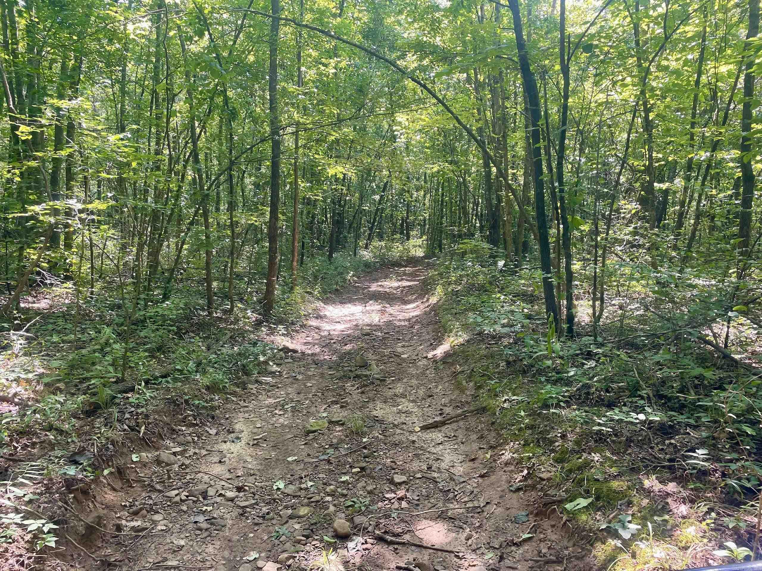 000 Acorn Road,  Jerusalem, AR