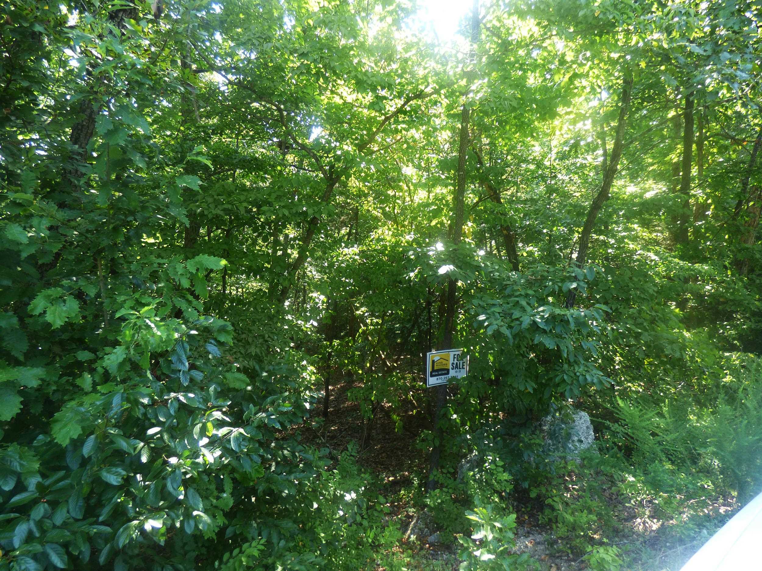  Chesapeake  Cherokee Village, AR