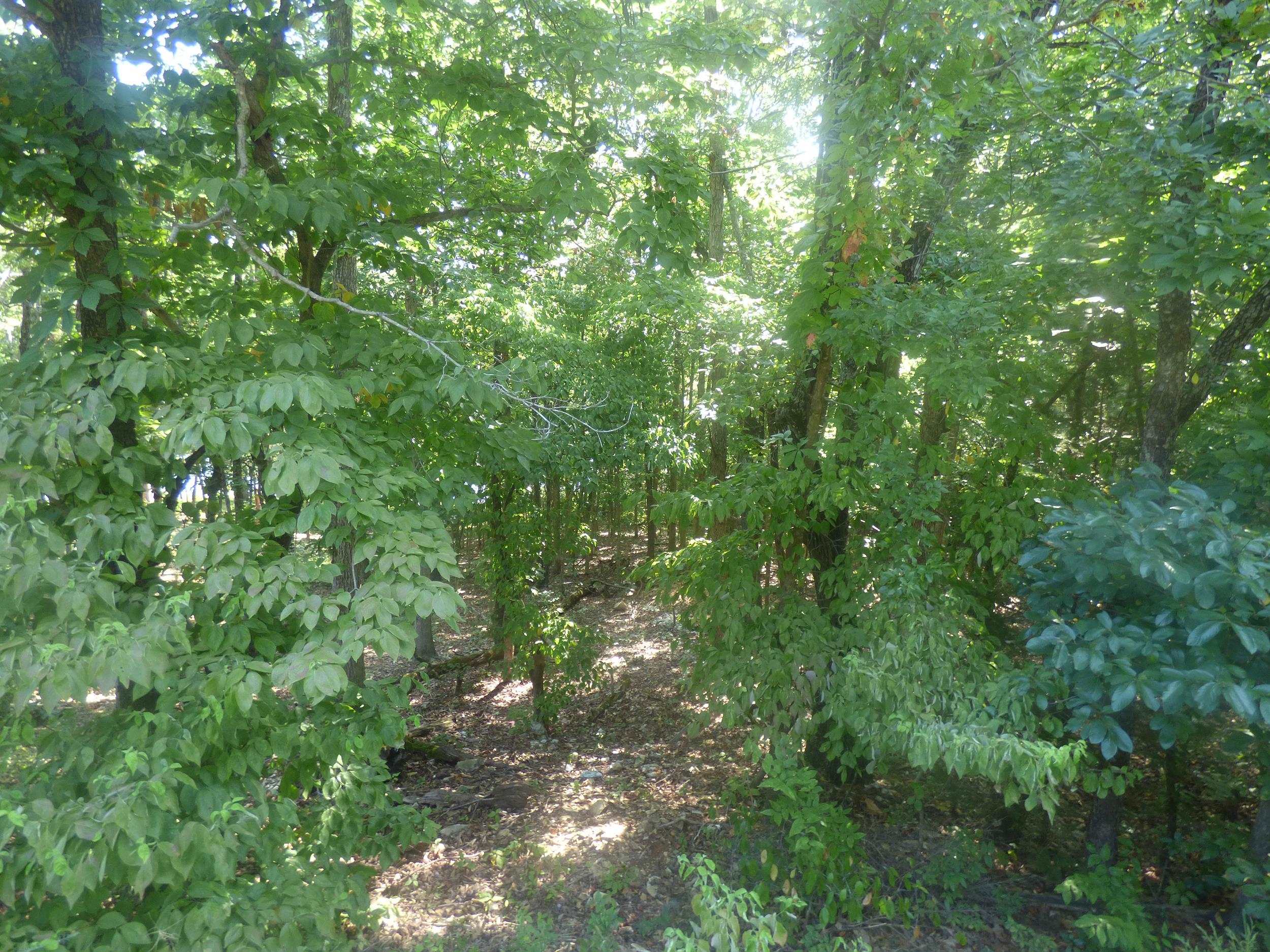  Chesapeake  Cherokee Village, AR