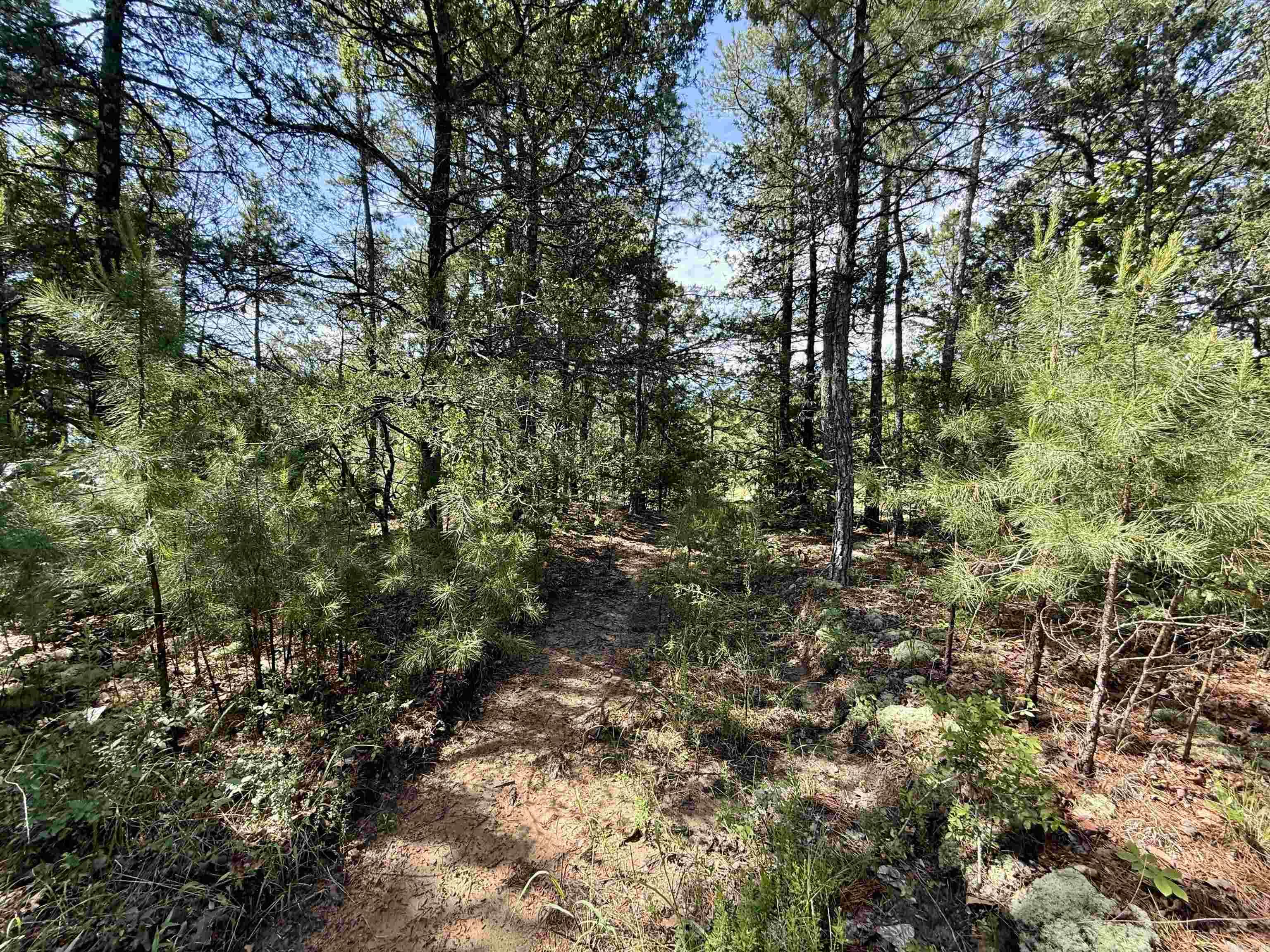 001-01049-000 CR 128  Calico Rock, AR