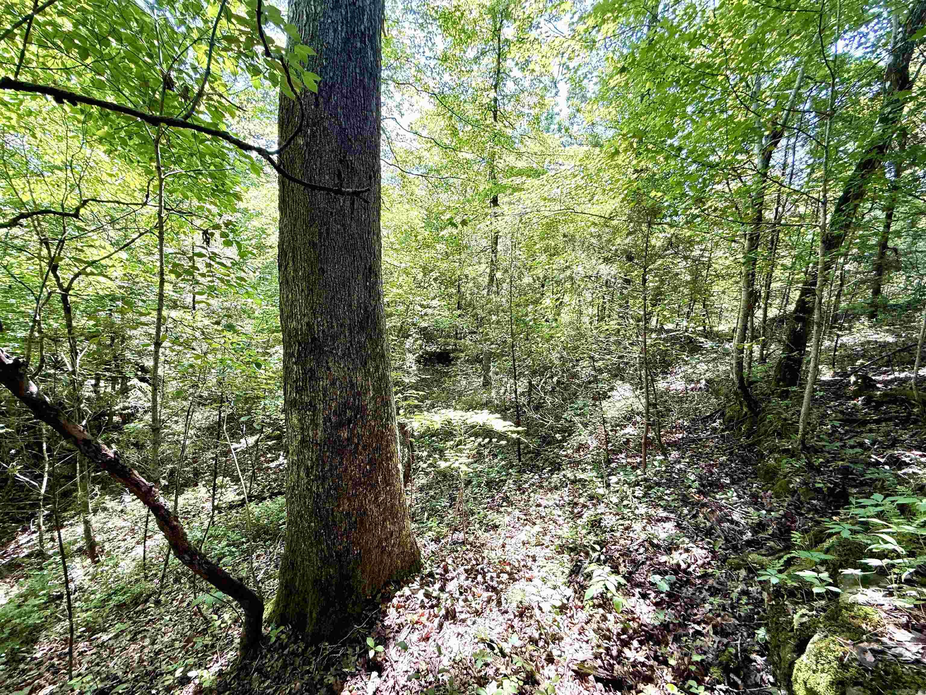 001-01049-000 CR 128  Calico Rock, AR
