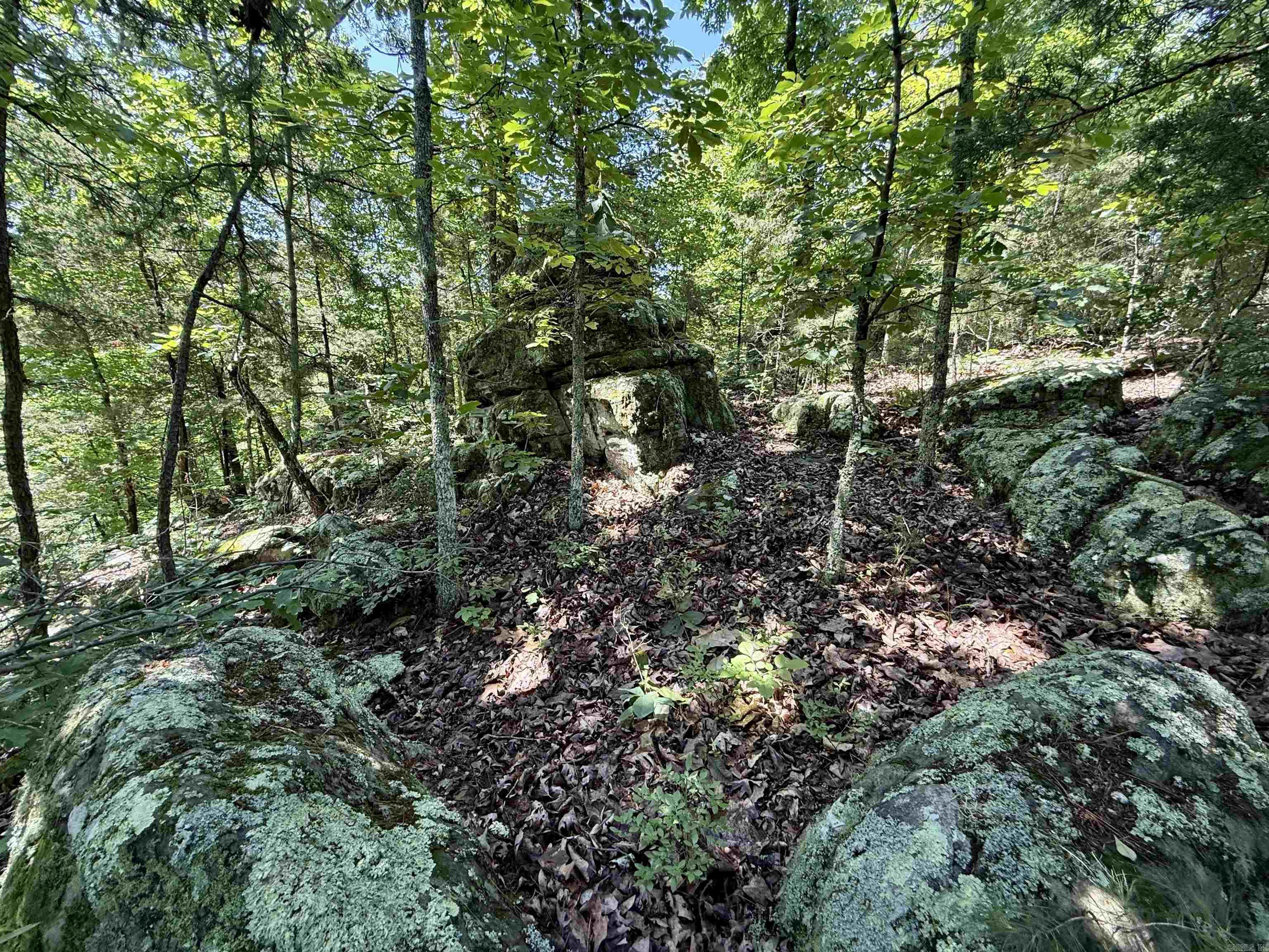 001-01049-000 CR 128  Calico Rock, AR