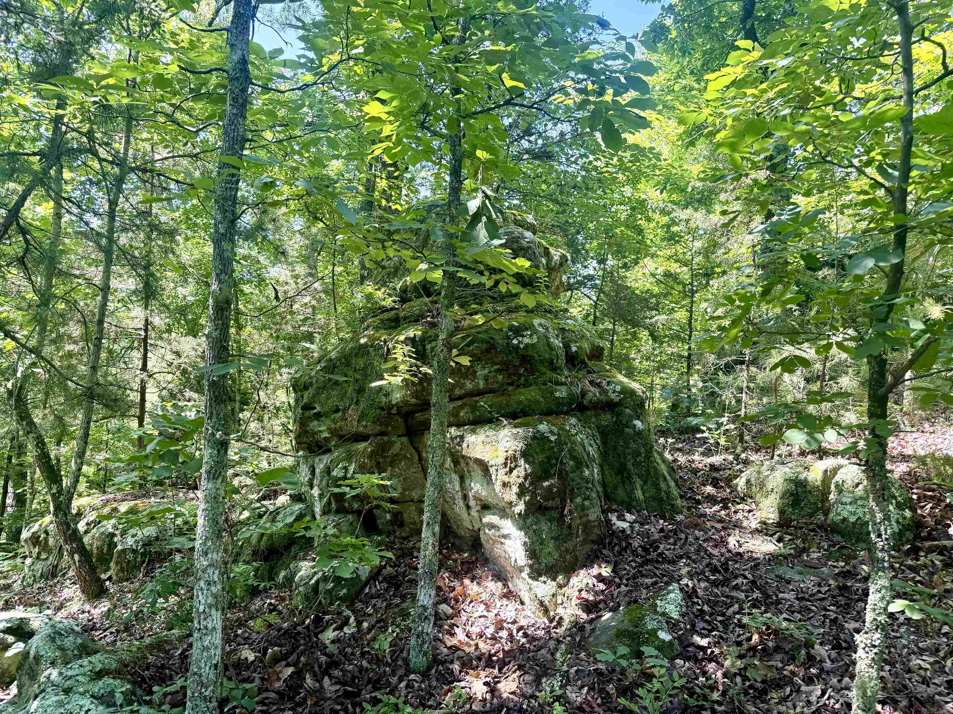 001-01049-000 CR 128  Calico Rock, AR