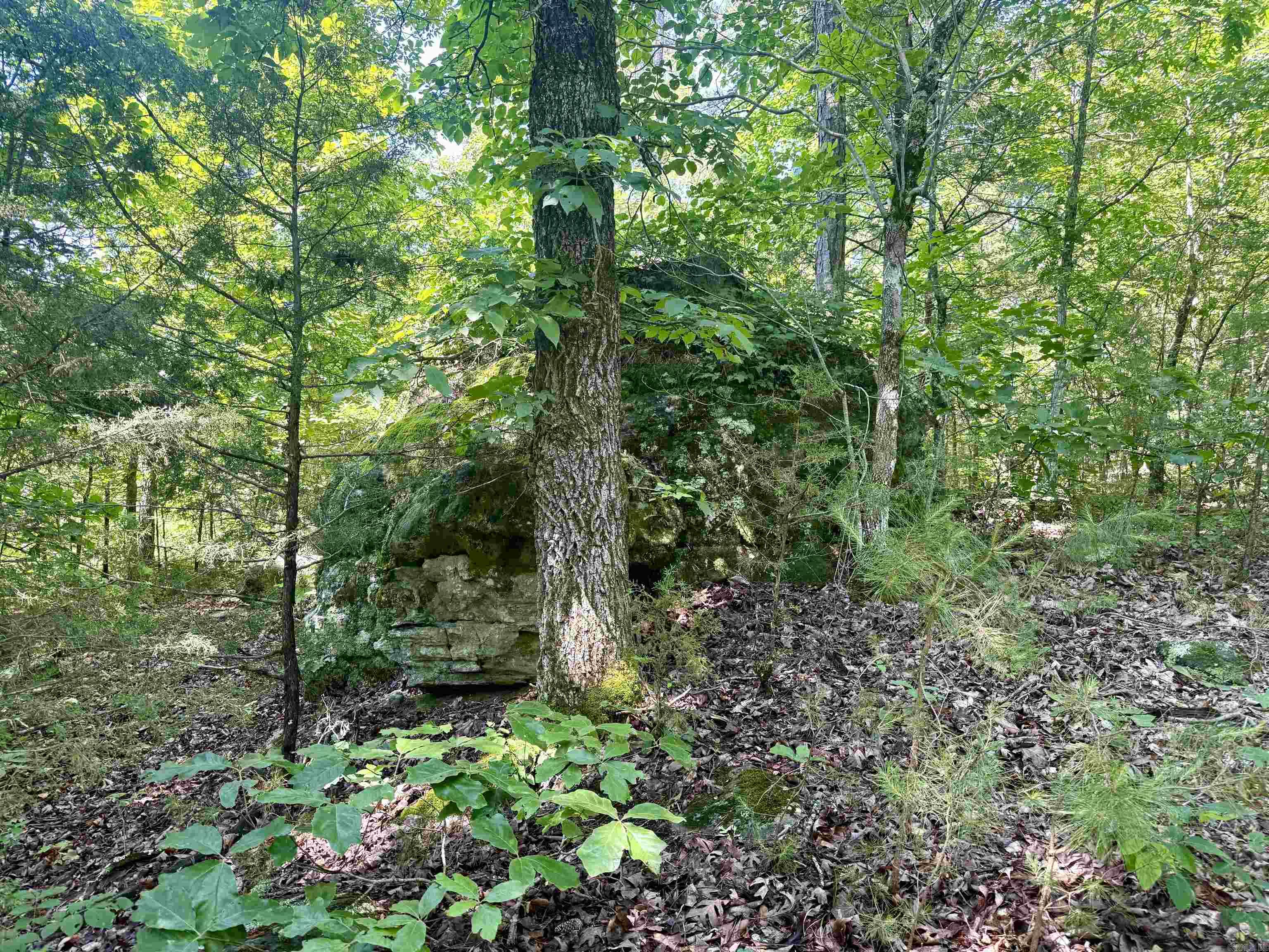 001-01049-000 CR 128  Calico Rock, AR