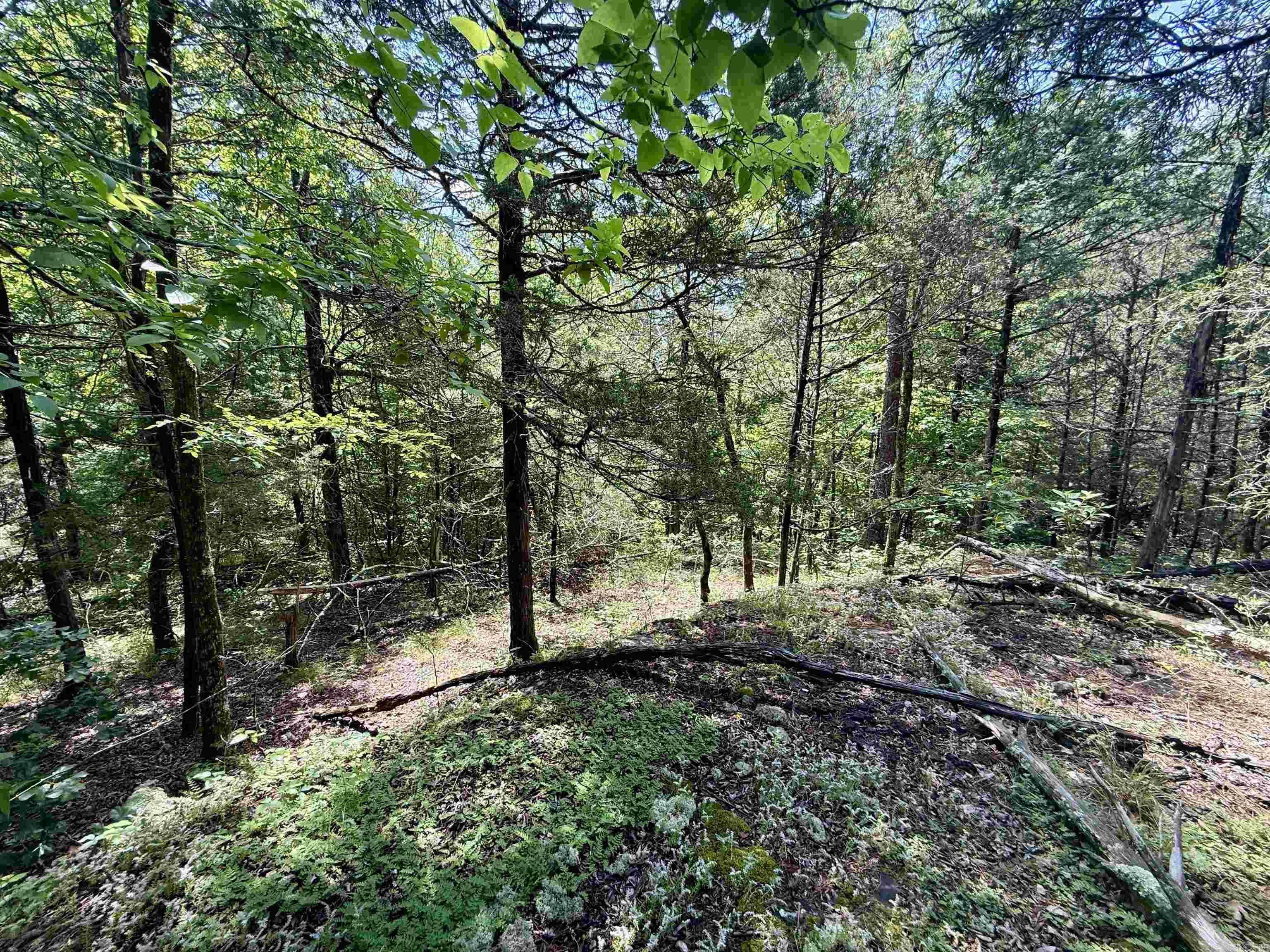 001-01049-000 CR 128  Calico Rock, AR