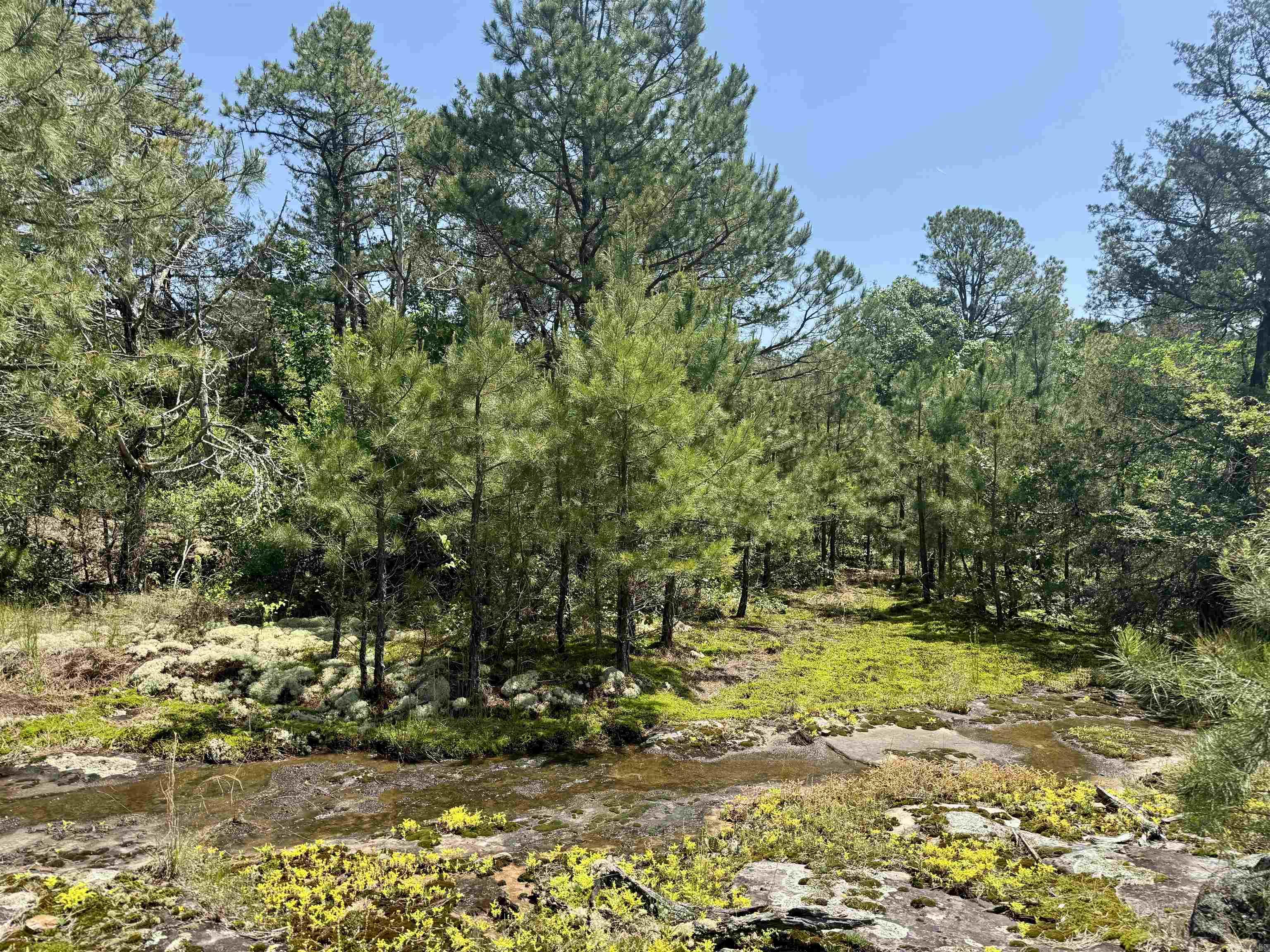 001-01049-000 CR 128  Calico Rock, AR