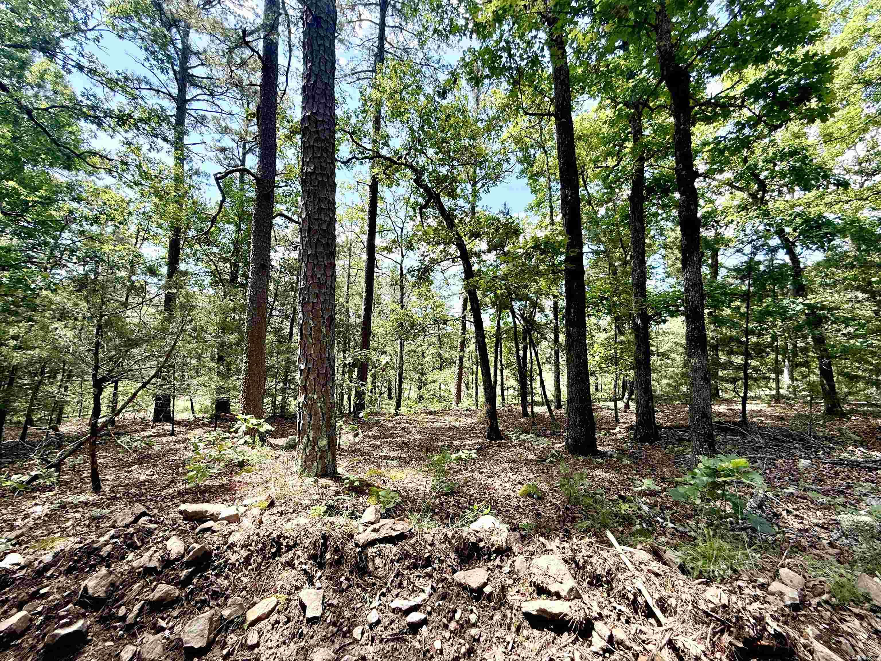 001-01049-000 CR 128  Calico Rock, AR