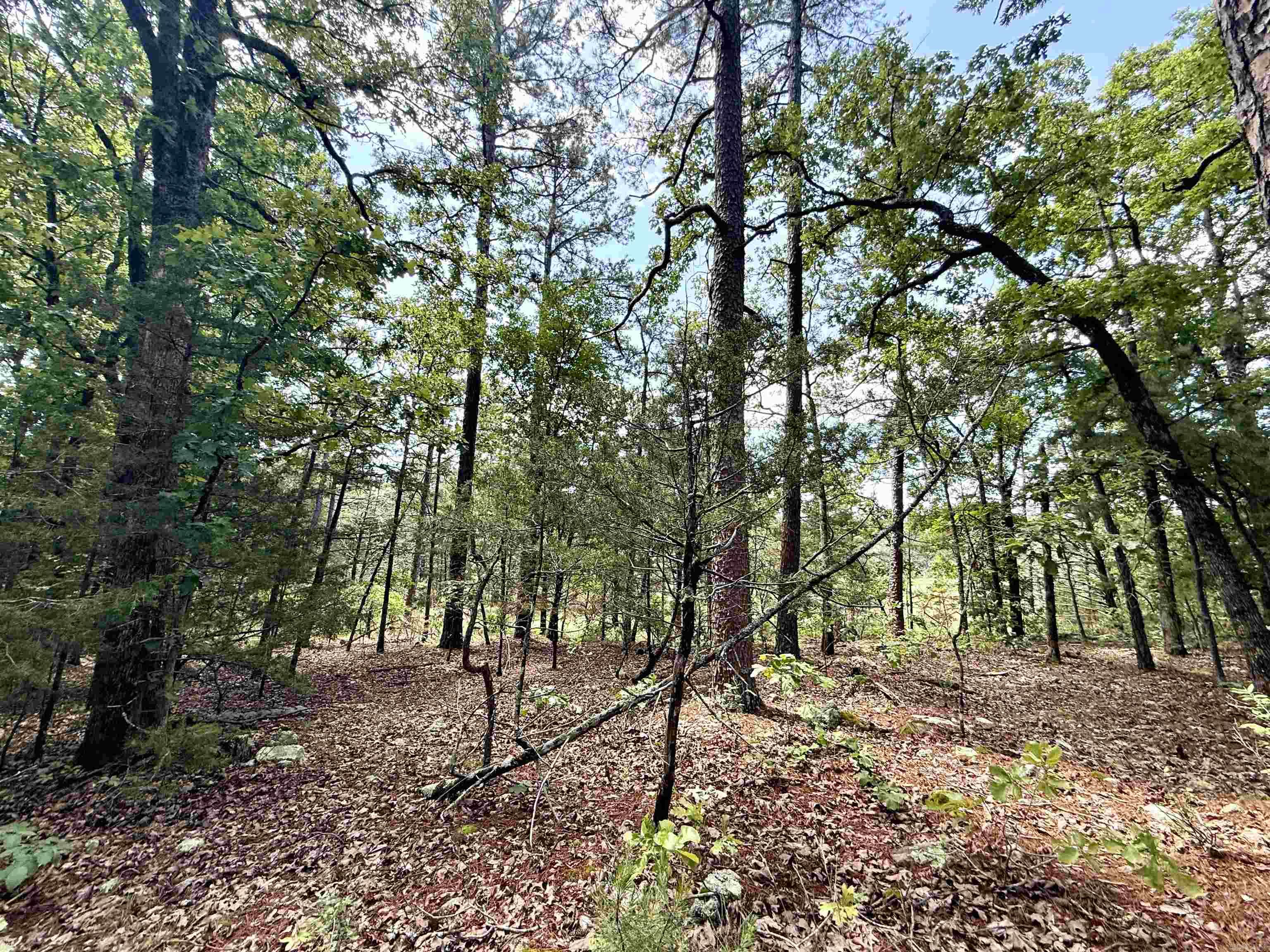 001-01049-000 CR 128  Calico Rock, AR