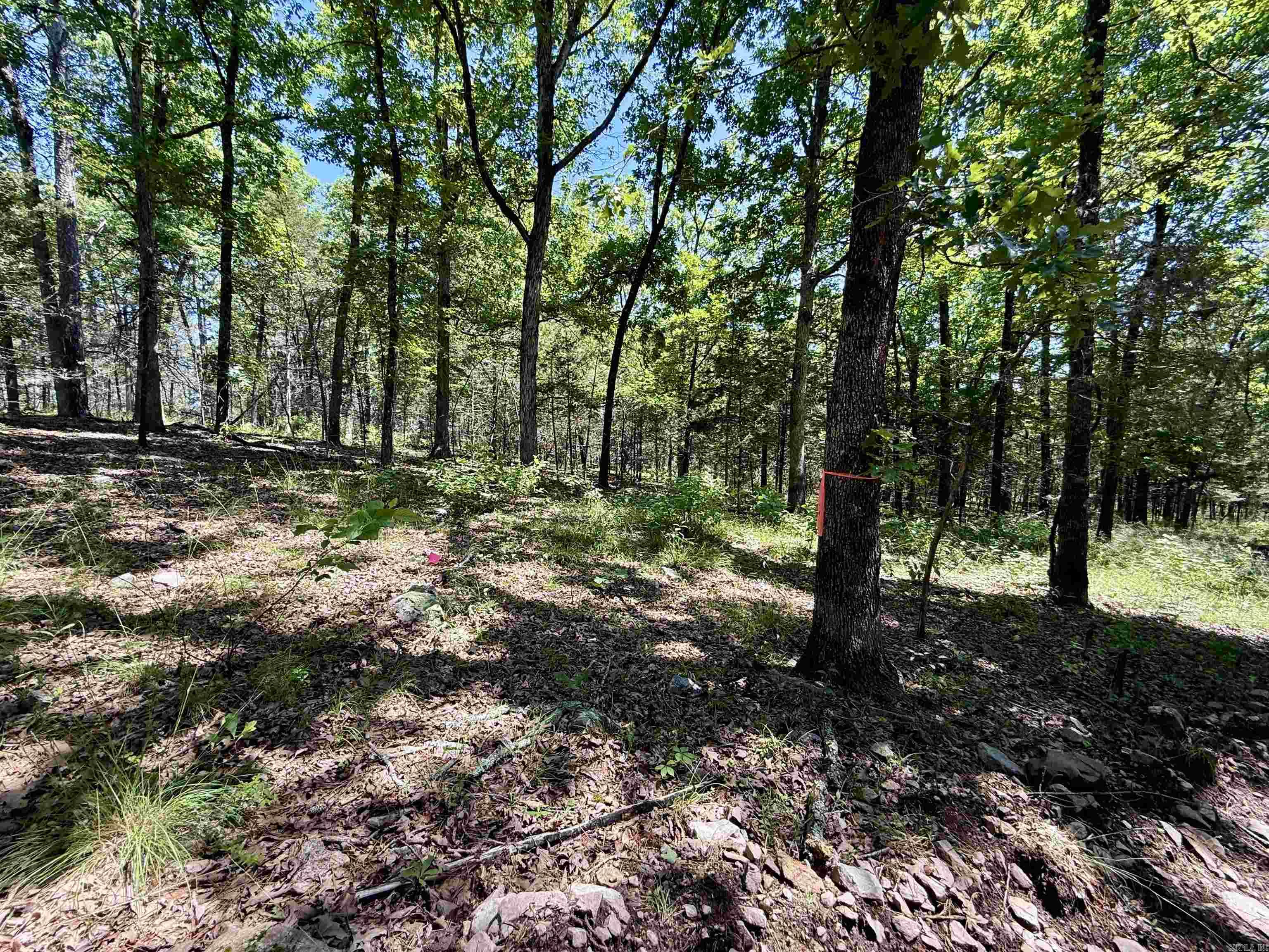 001-01049-000 CR 128  Calico Rock, AR