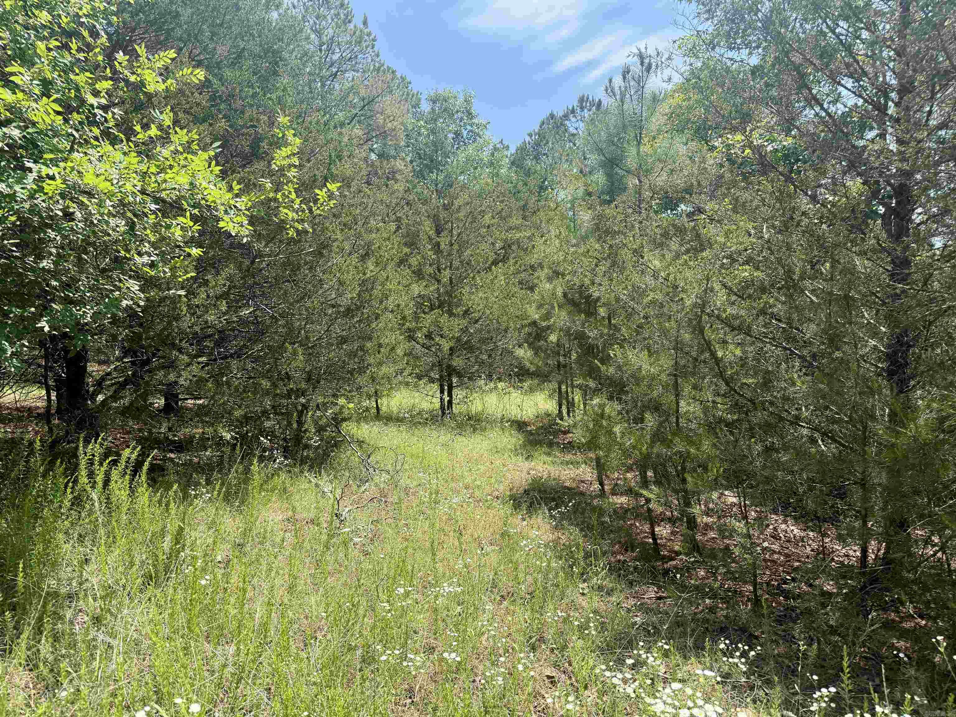 001-01049-000 CR 128  Calico Rock, AR