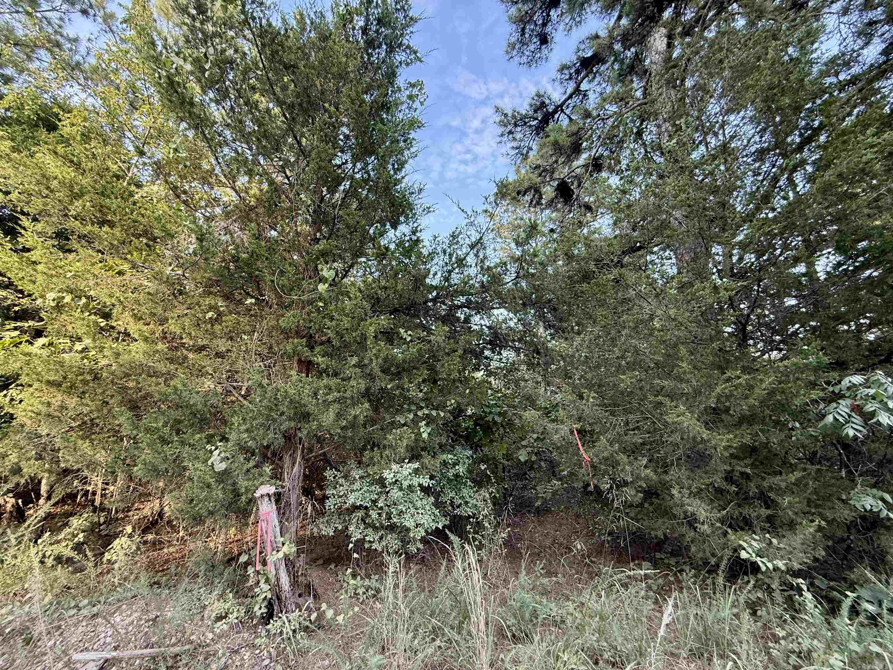001-01049-000 CR 128  Calico Rock, AR
