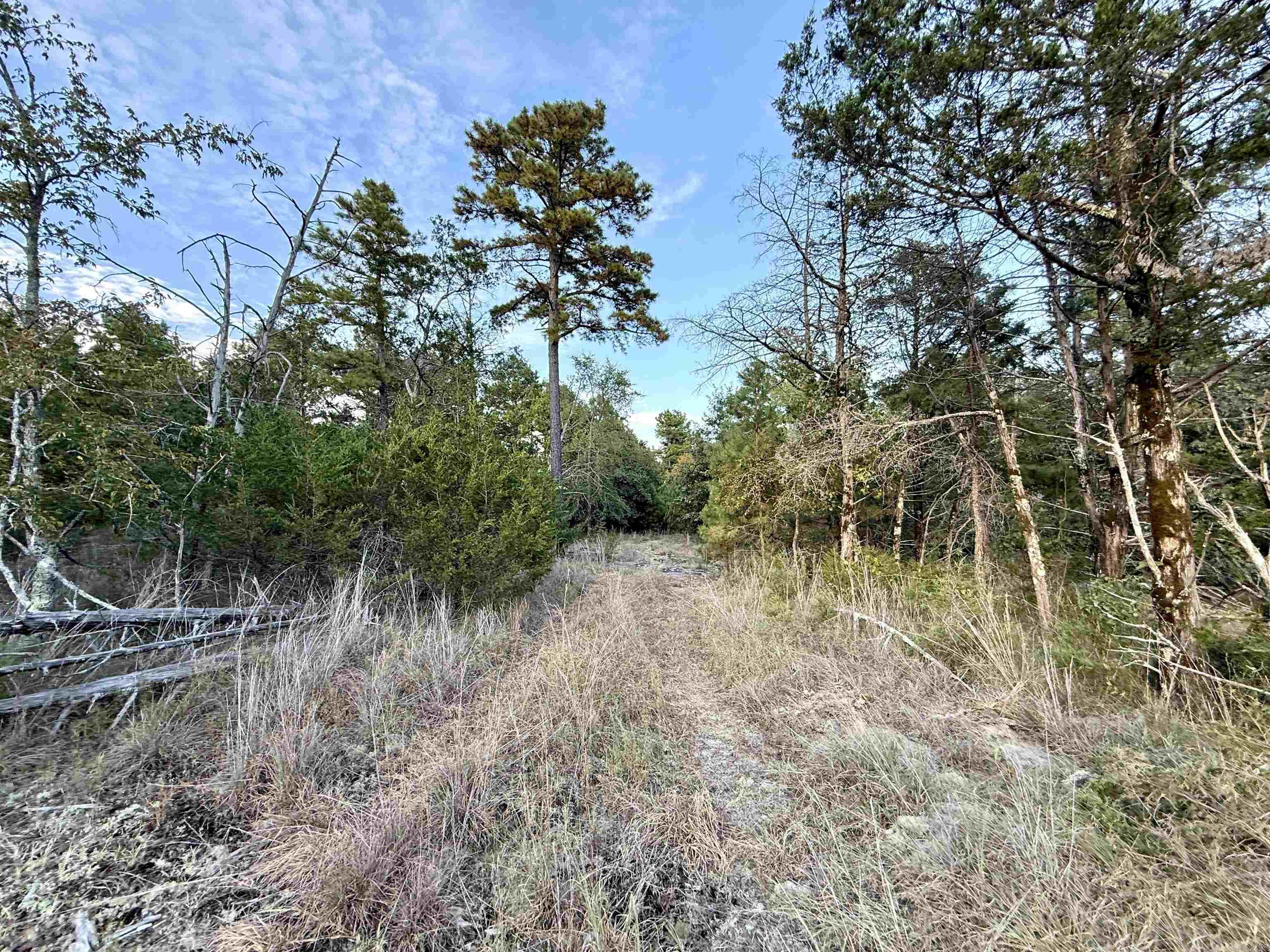 001-01049-000 CR 128  Calico Rock, AR