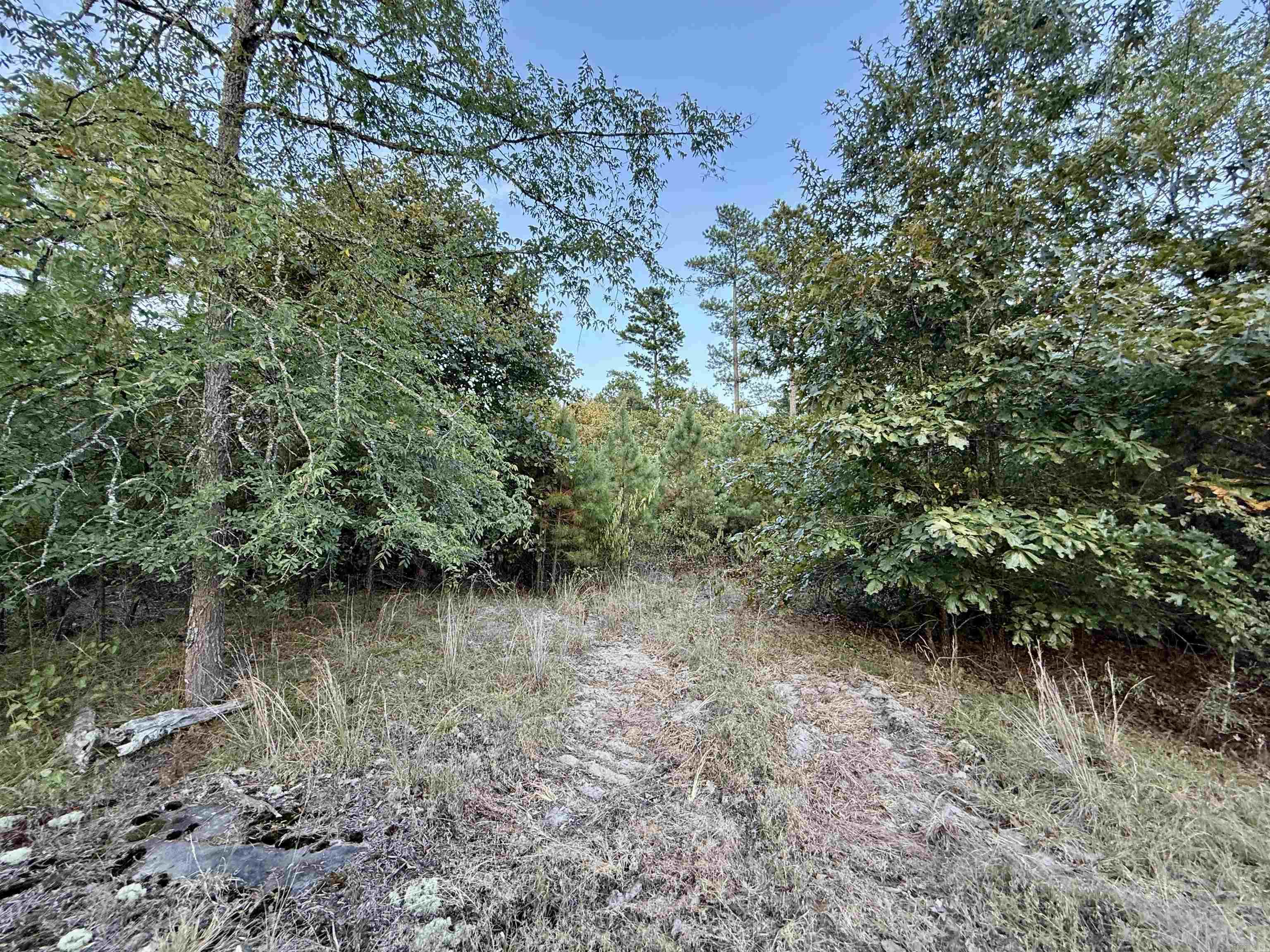 001-01049-000 CR 128  Calico Rock, AR