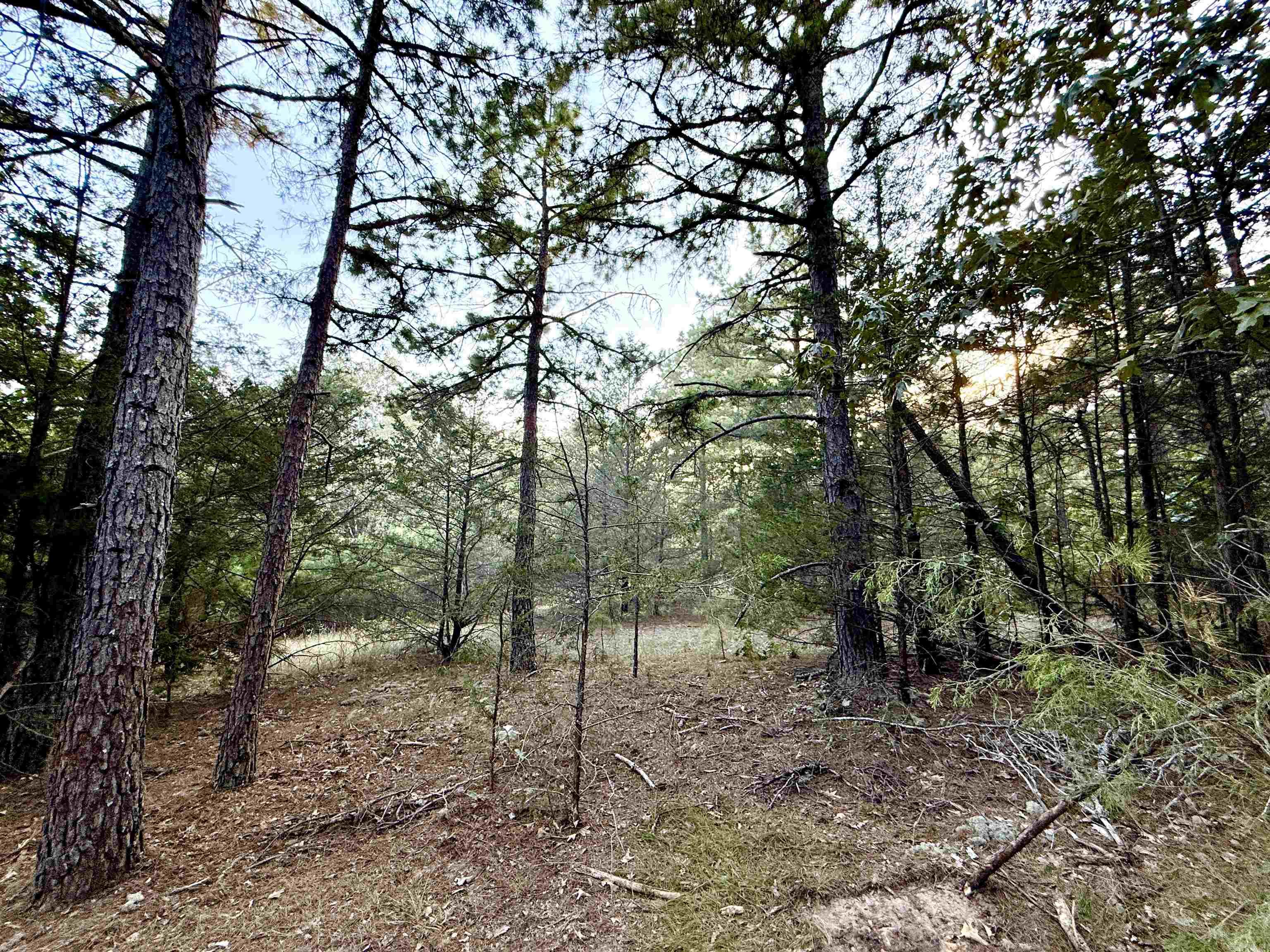 001-01049-000 CR 128  Calico Rock, AR