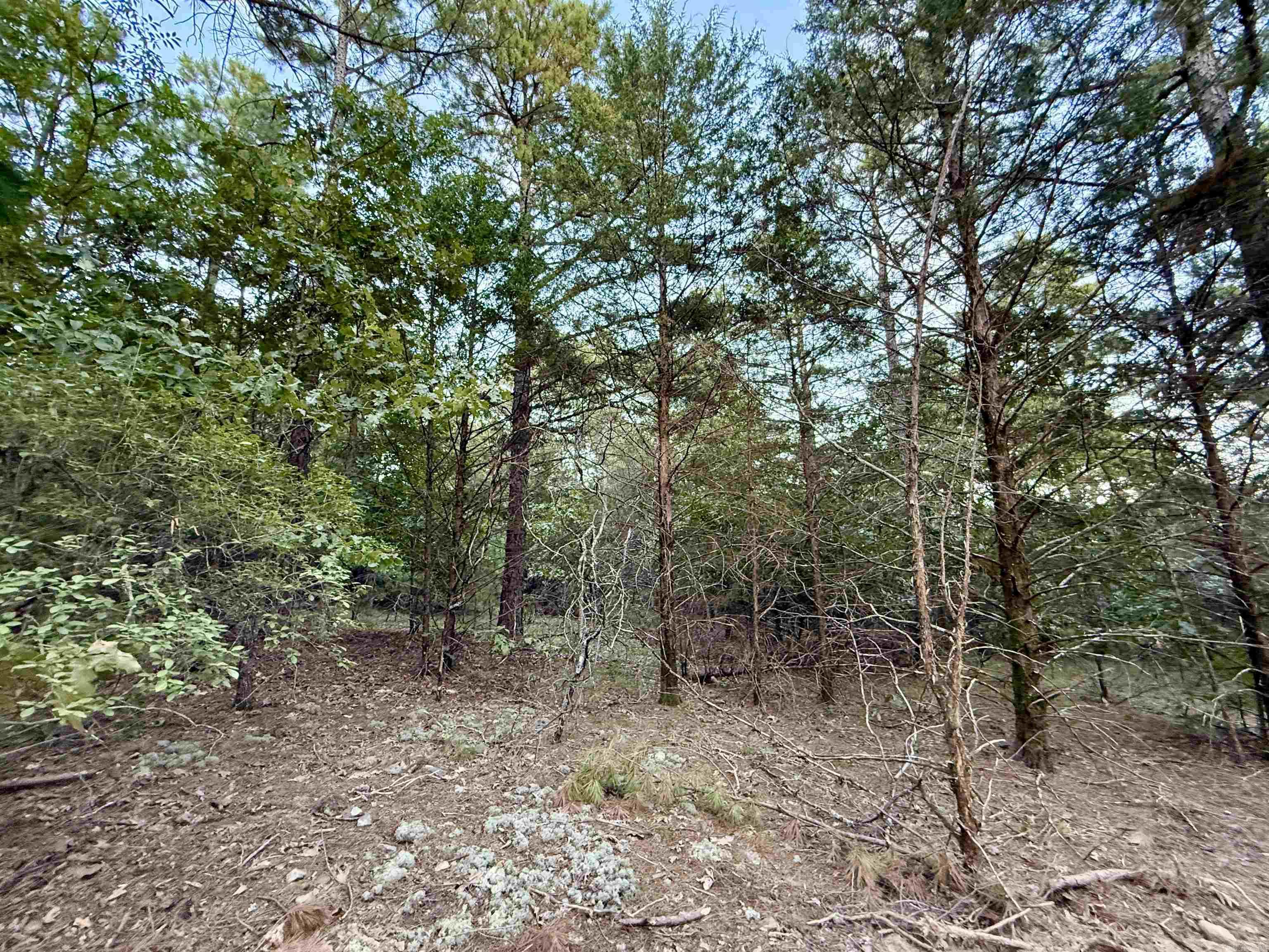 001-01049-000 CR 128  Calico Rock, AR