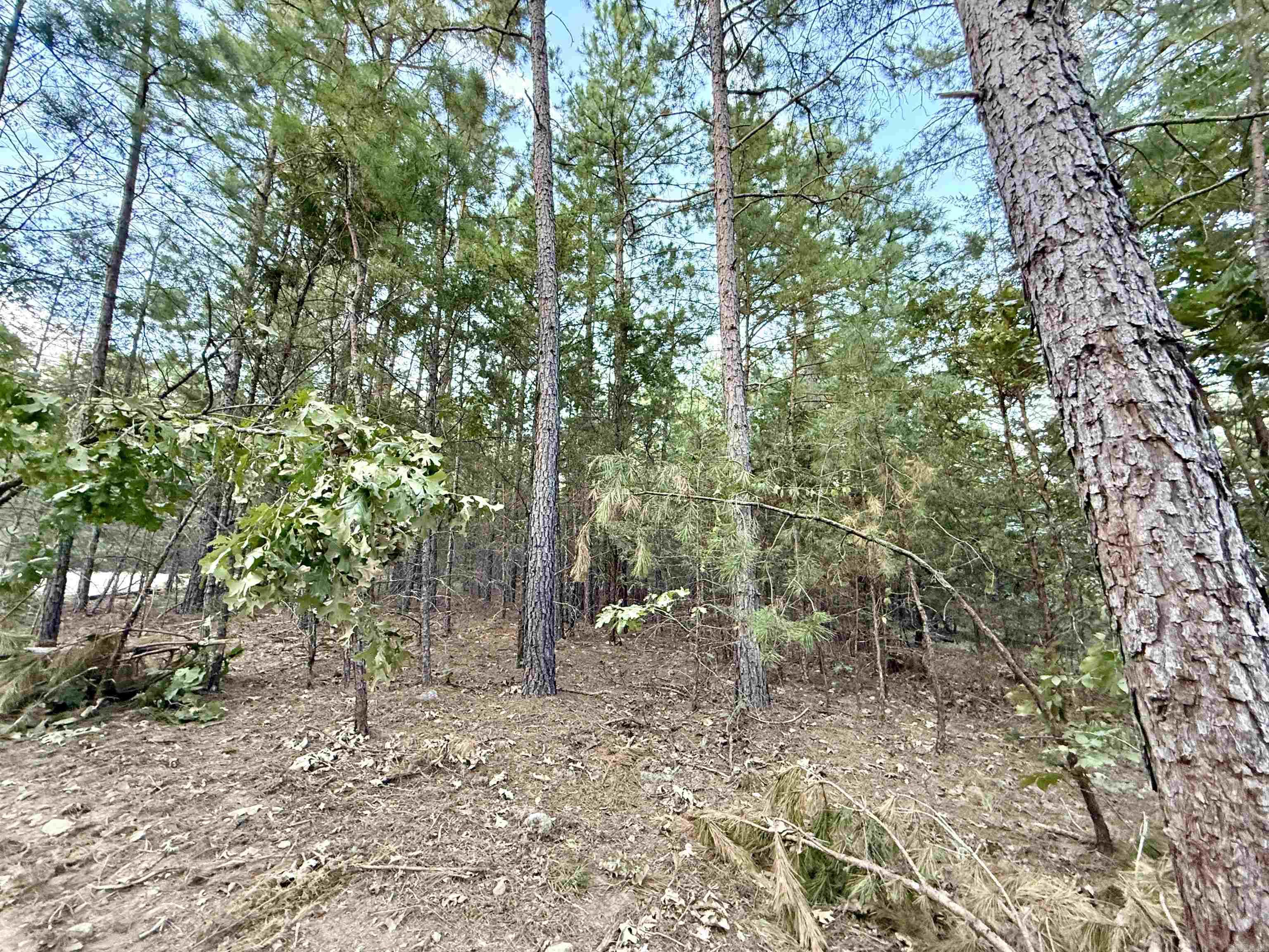 001-01049-000 CR 128  Calico Rock, AR
