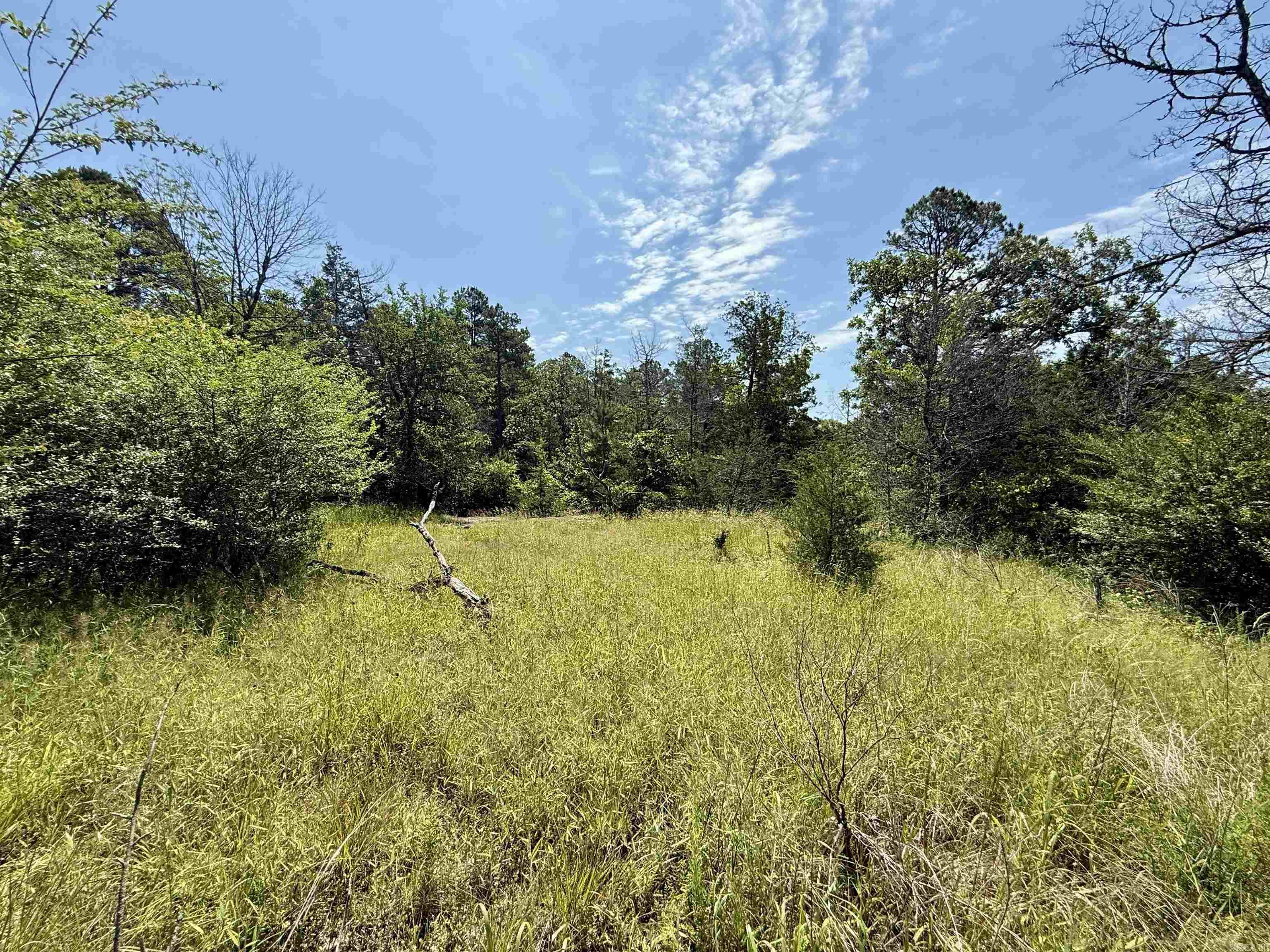 001-01049-000 CR 128  Calico Rock, AR