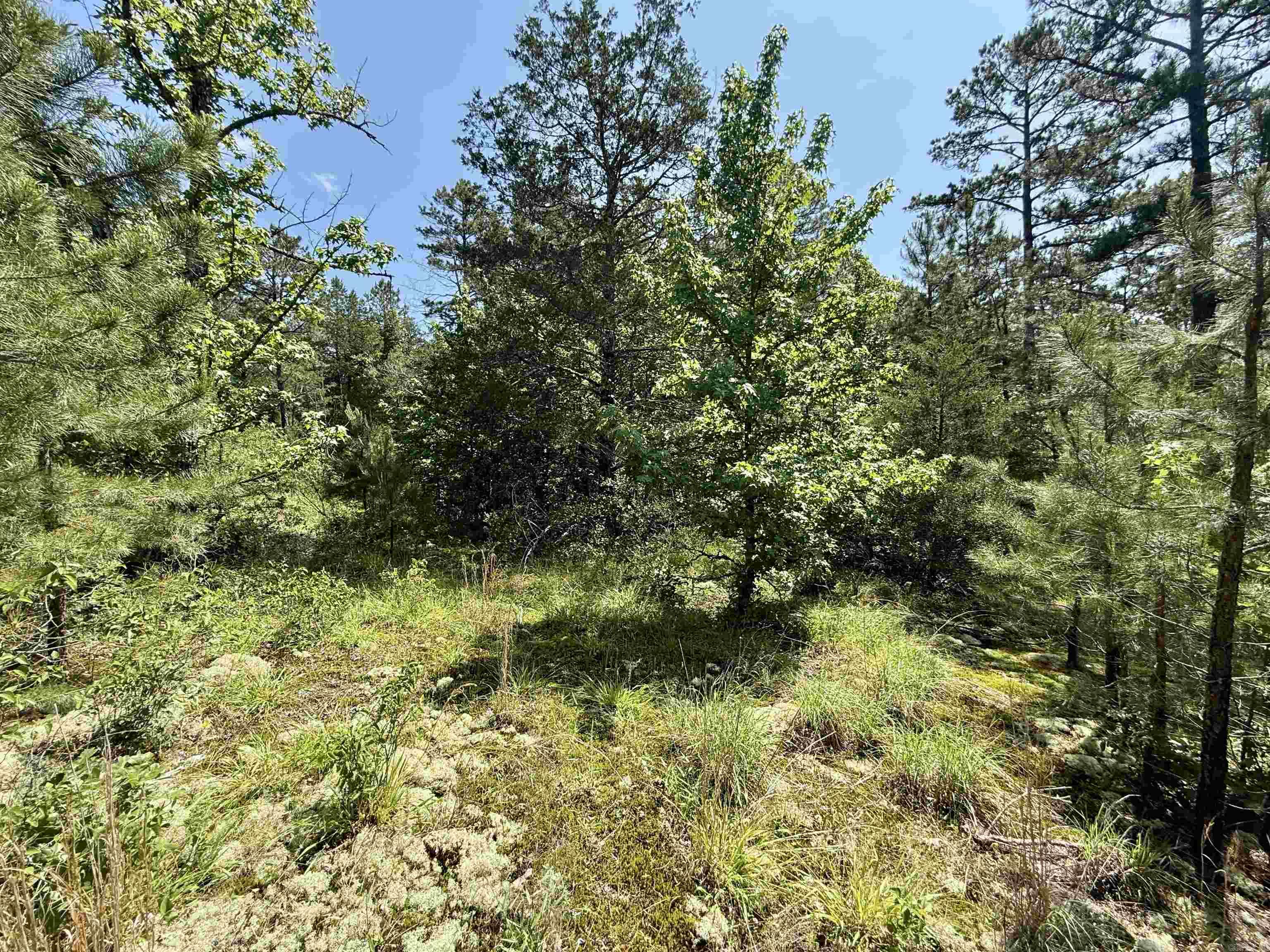 001-01049-000 CR 128  Calico Rock, AR