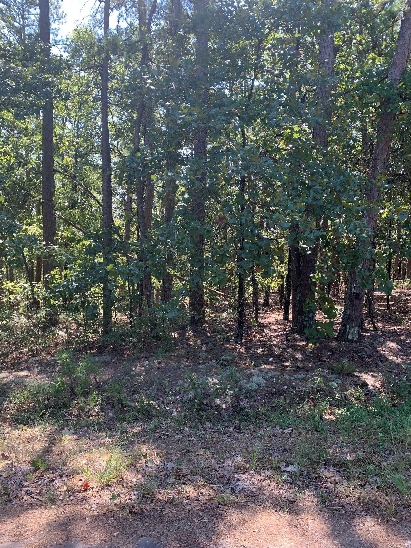 11 Alegria Way  Hot Springs Village, AR