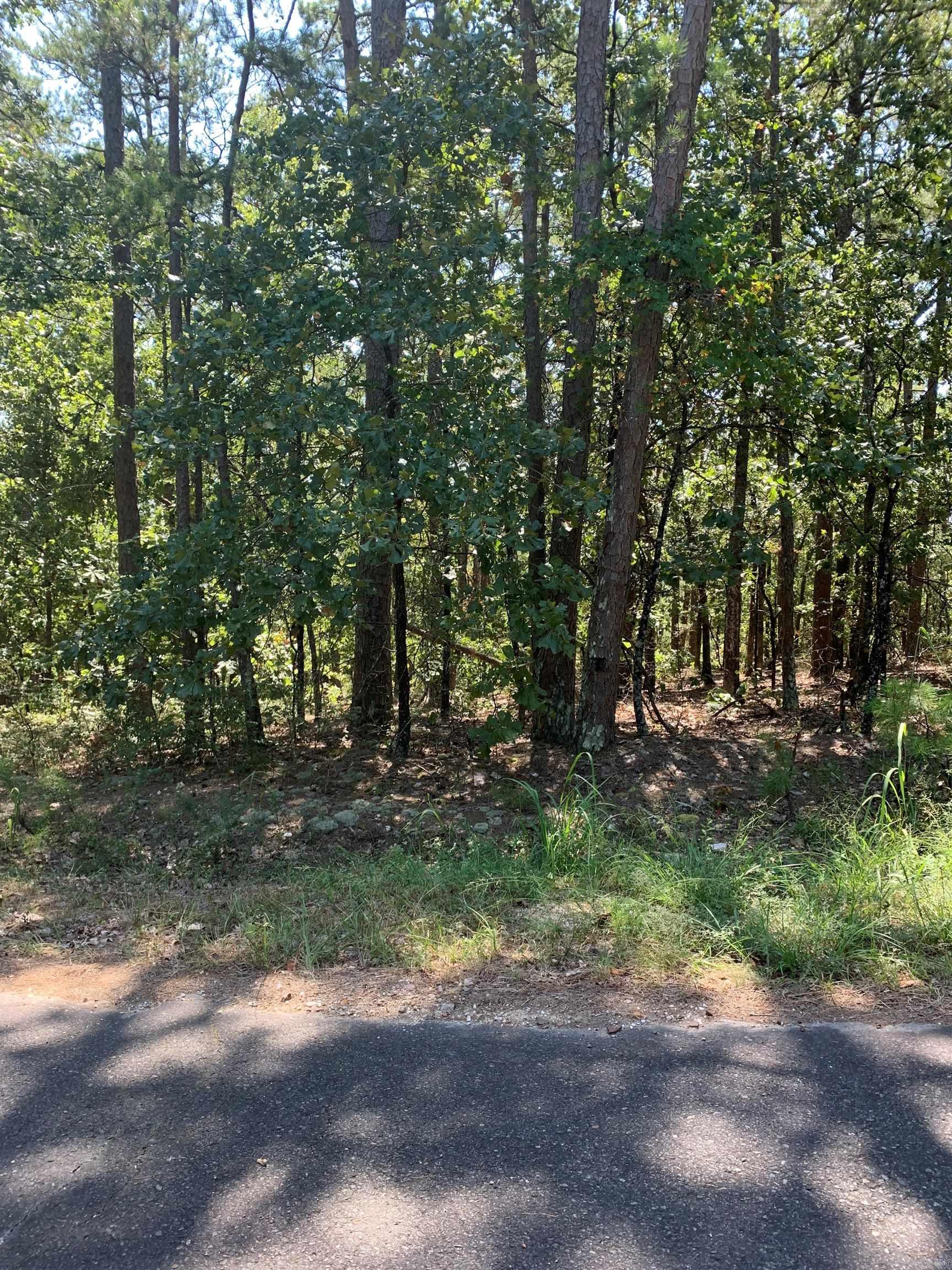 11 Alegria Way  Hot Springs Village, AR