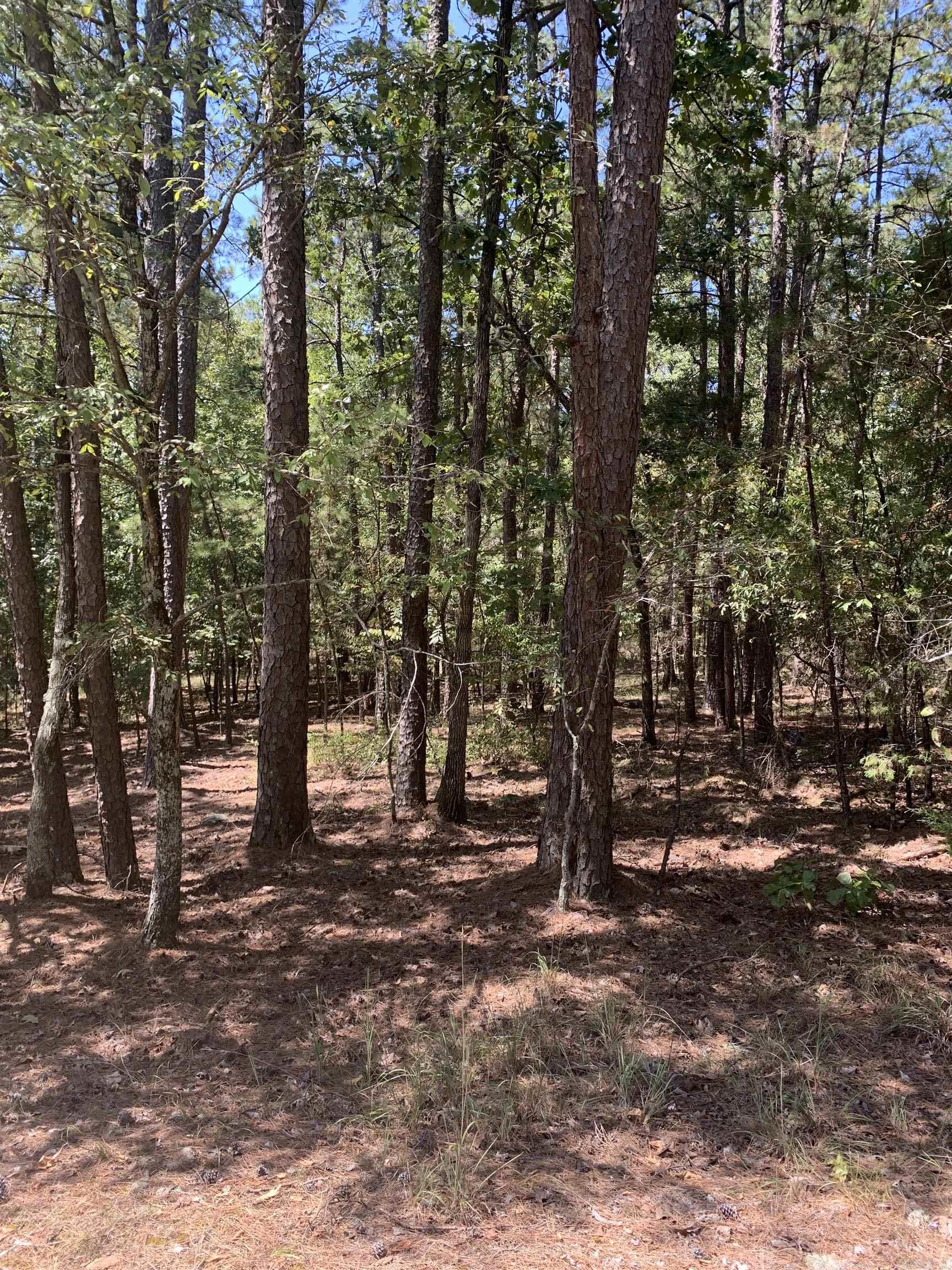 17 Fonsagrada Cir  Hot Springs Village, AR