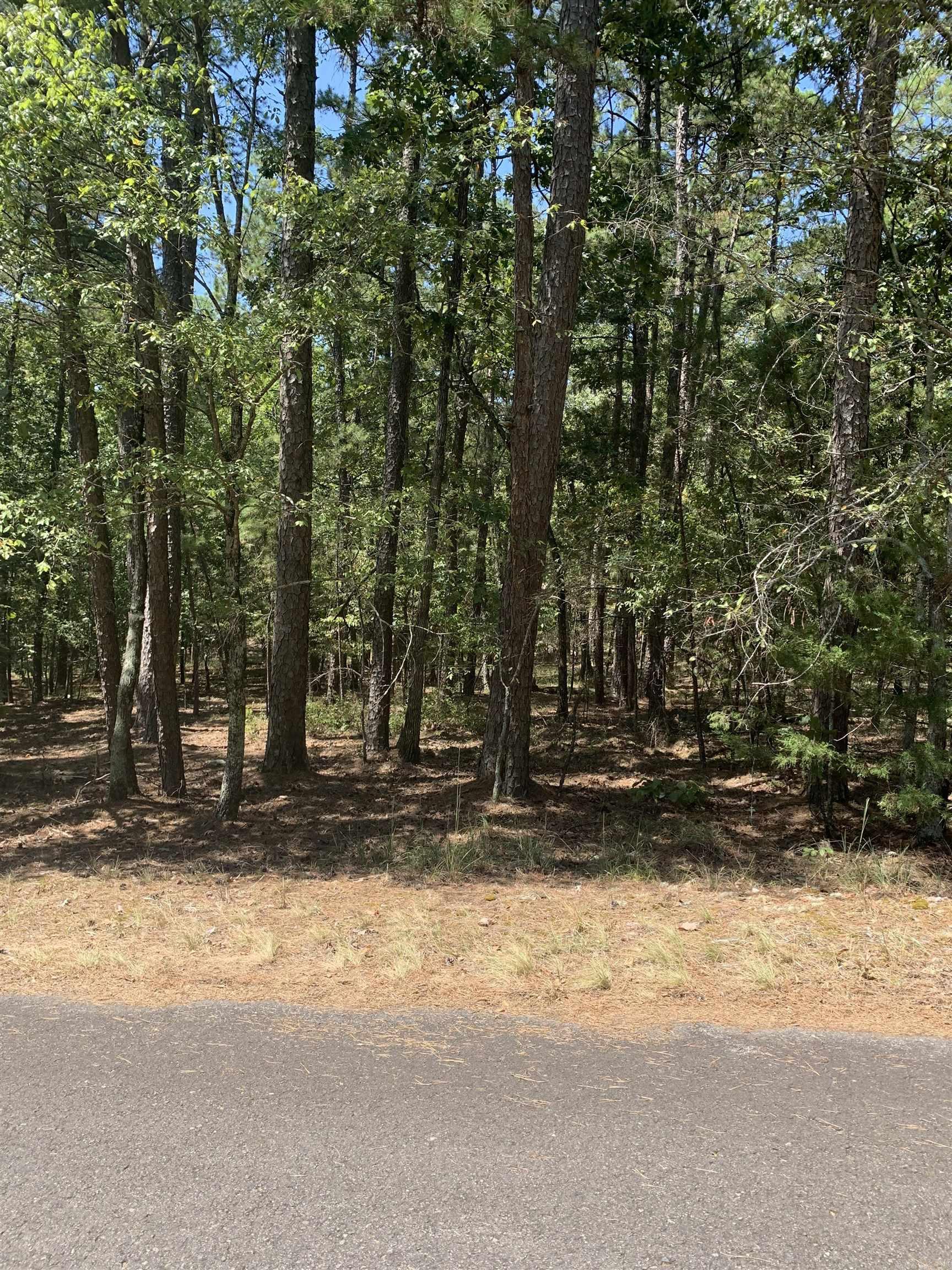 17 Fonsagrada Cir  Hot Springs Village, AR