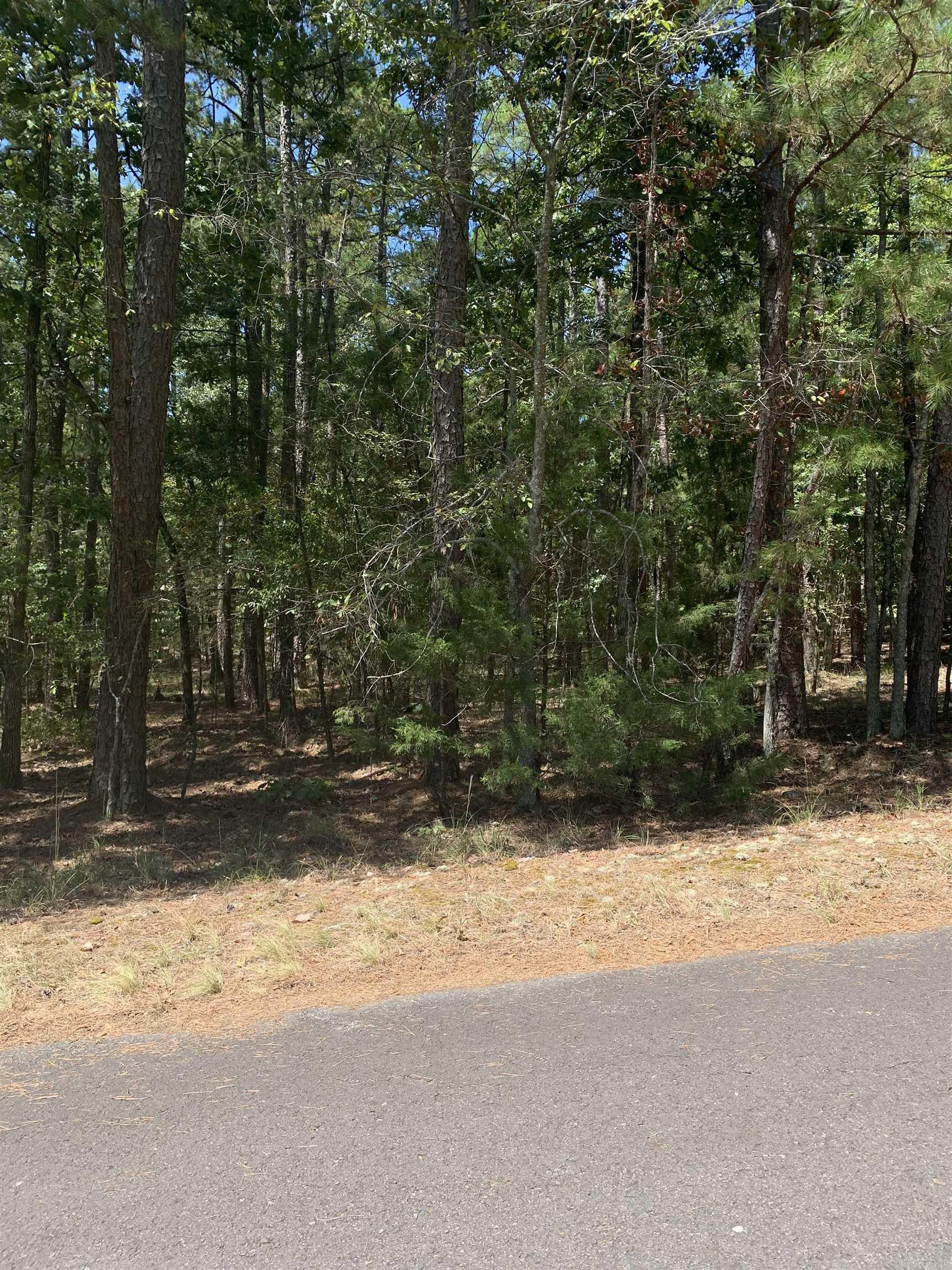 17 Fonsagrada Cir  Hot Springs Village, AR