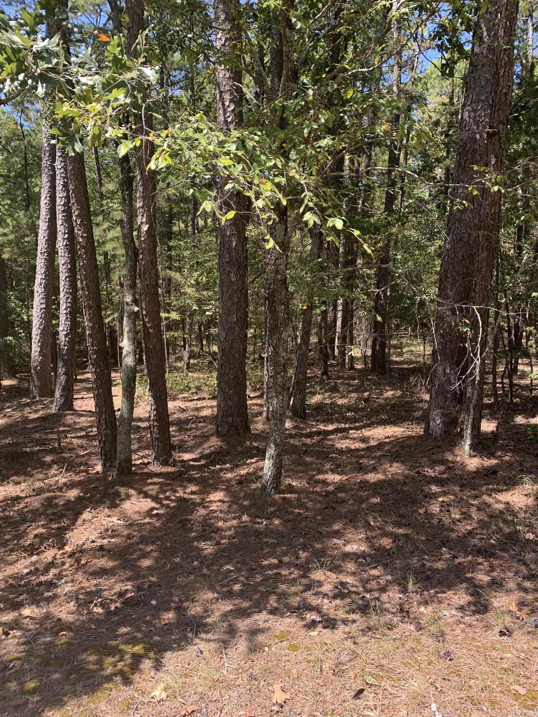 17 Fonsagrada Cir  Hot Springs Village, AR