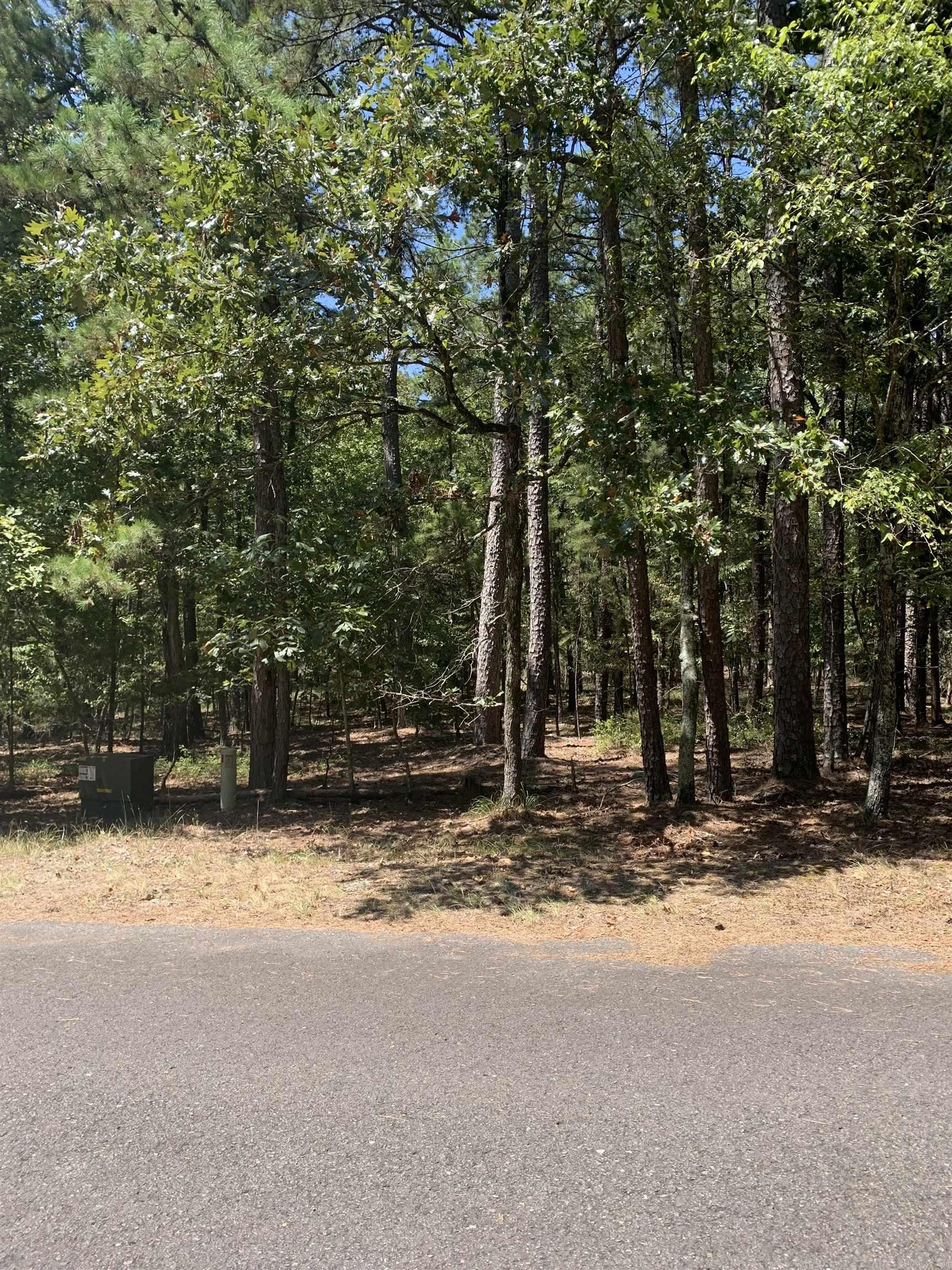 17 Fonsagrada Cir  Hot Springs Village, AR