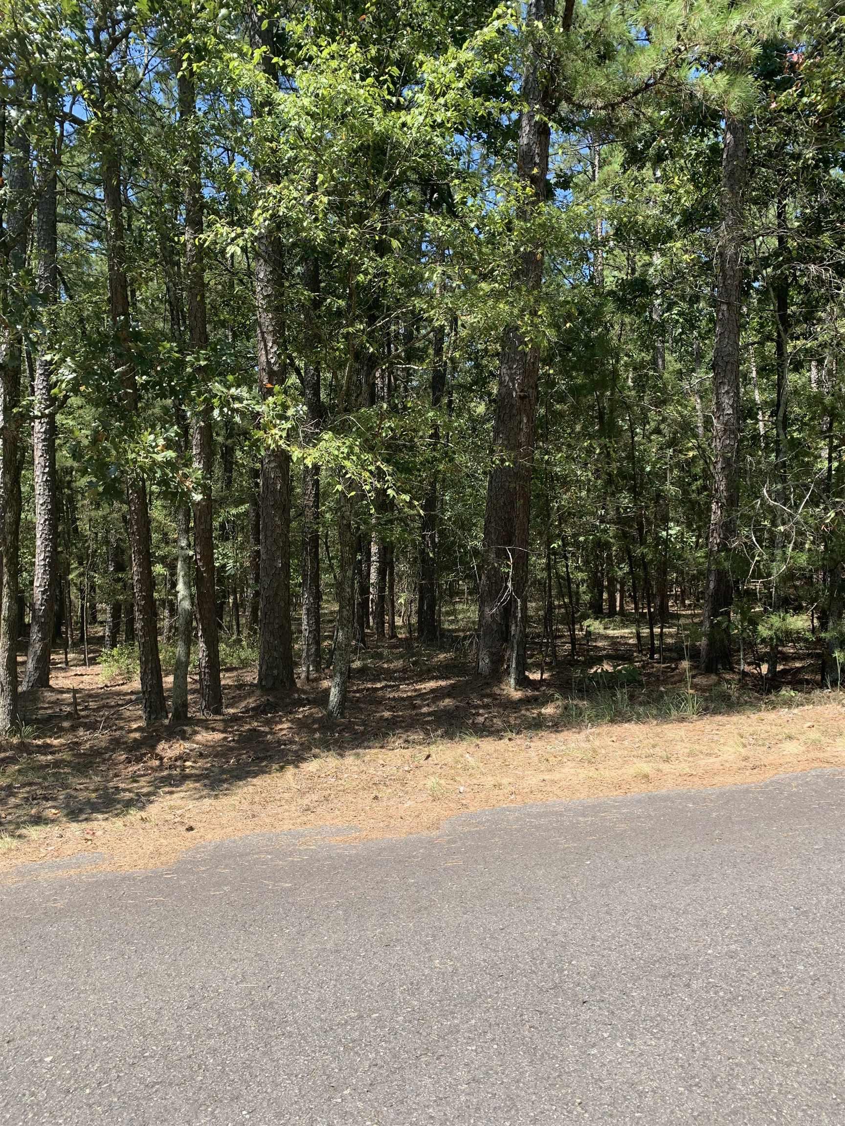 17 Fonsagrada Cir  Hot Springs Village, AR