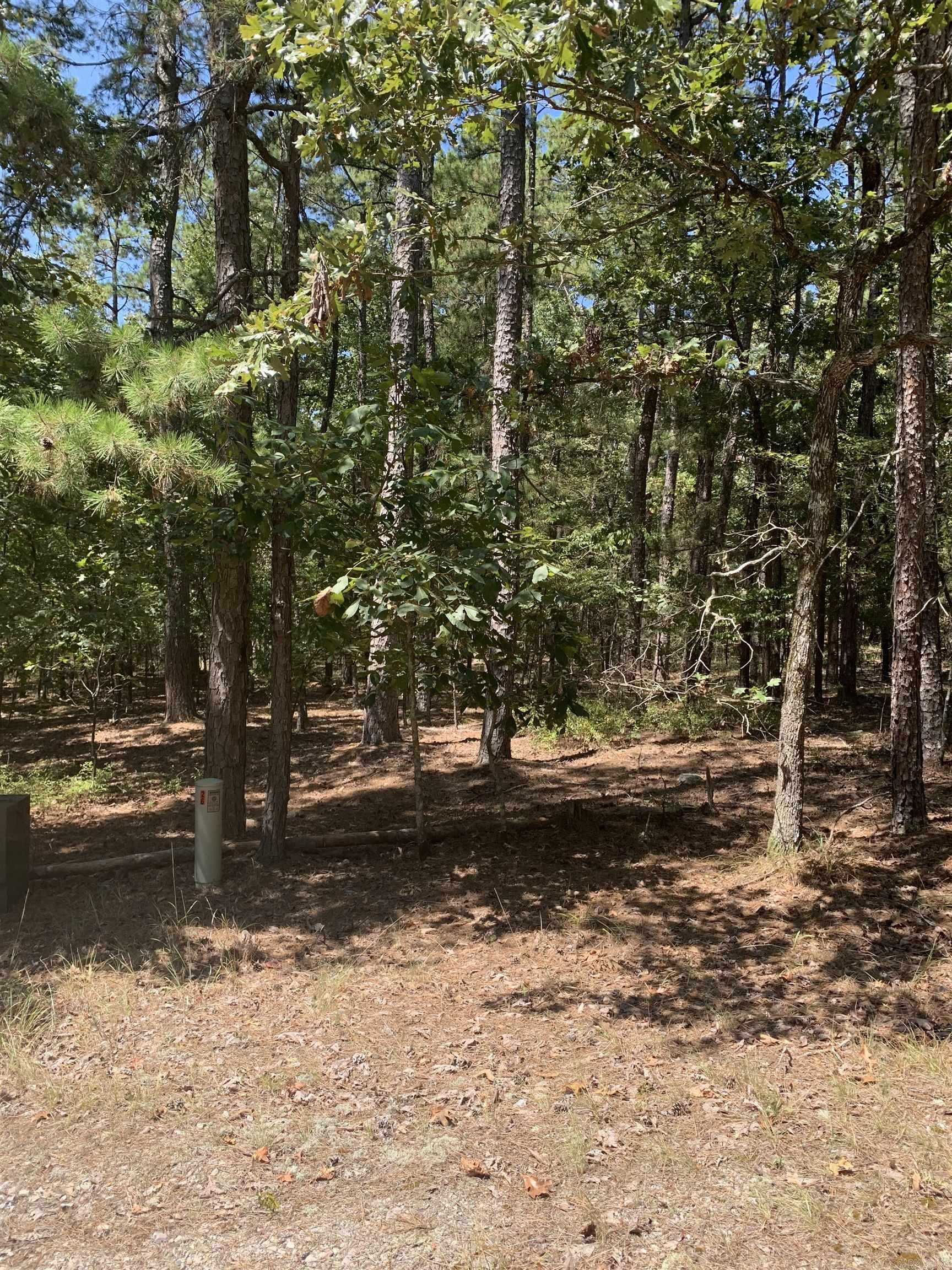 17 Fonsagrada Cir  Hot Springs Village, AR