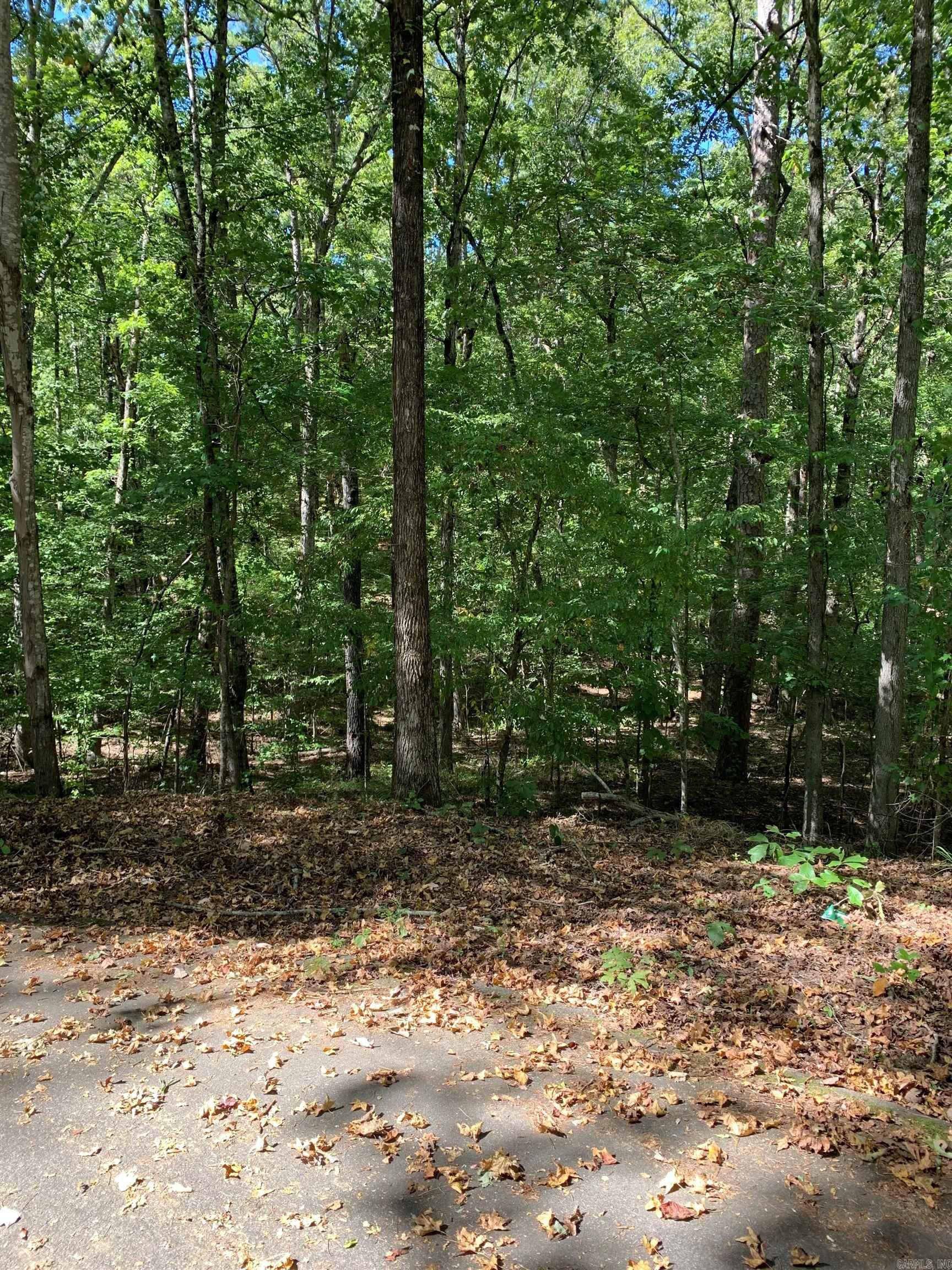 26 Raton Ln  Hot Springs Village, AR