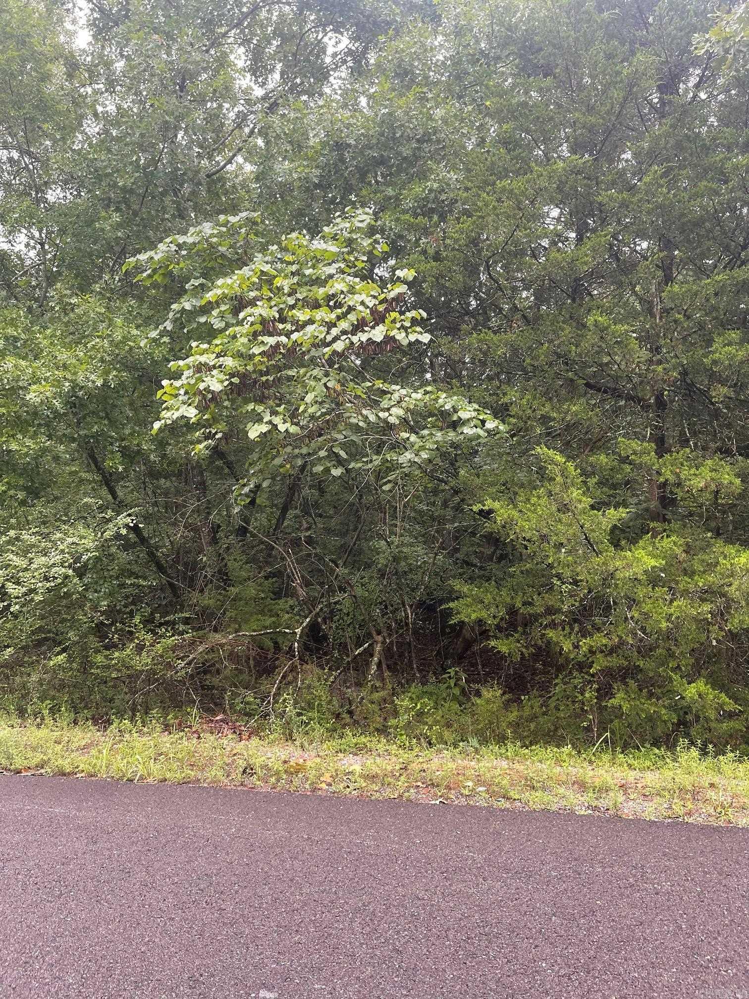 11 BRILLIANTE LANE  Hot Springs Village, AR
