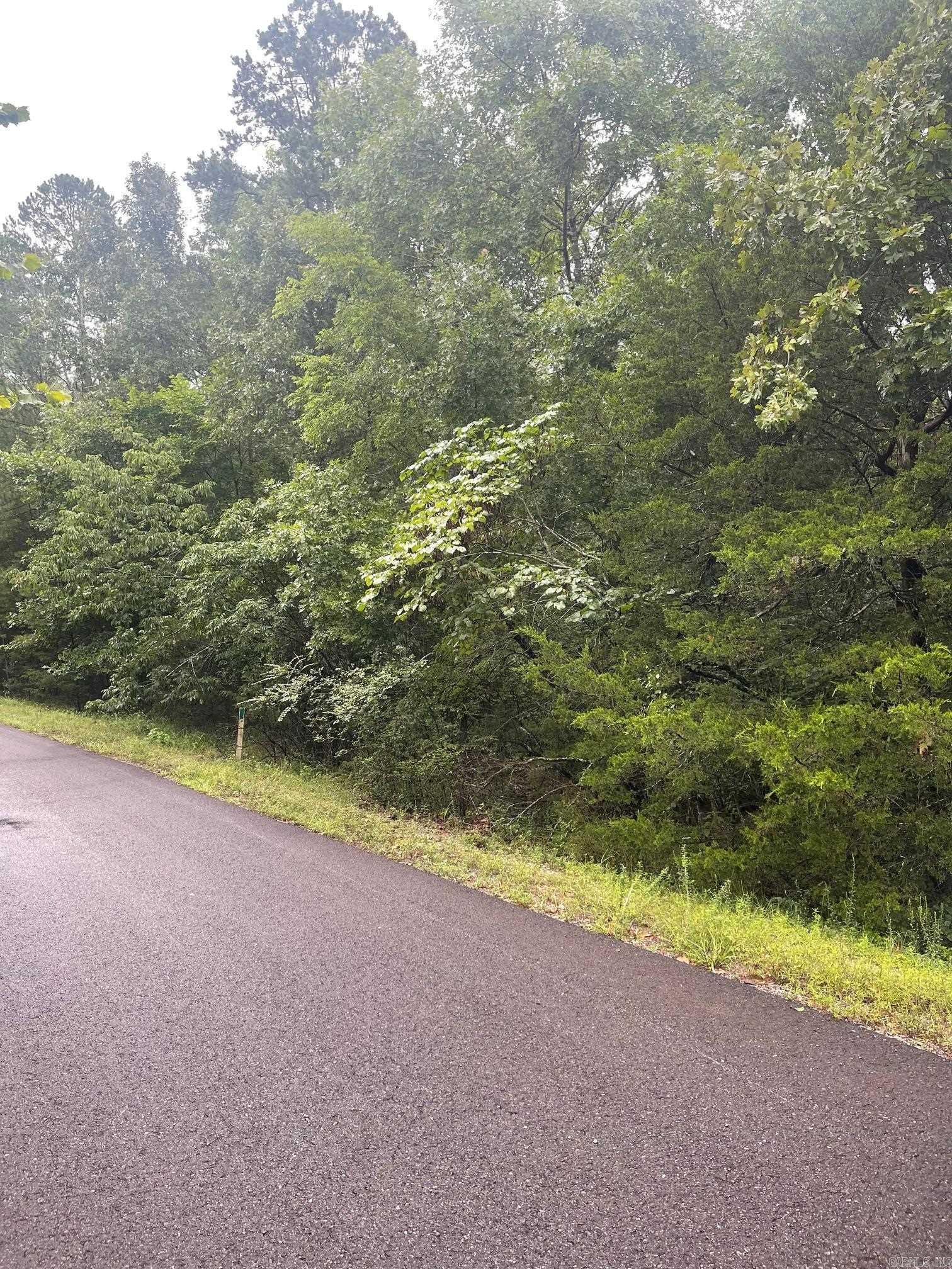 11 BRILLIANTE LANE  Hot Springs Village, AR