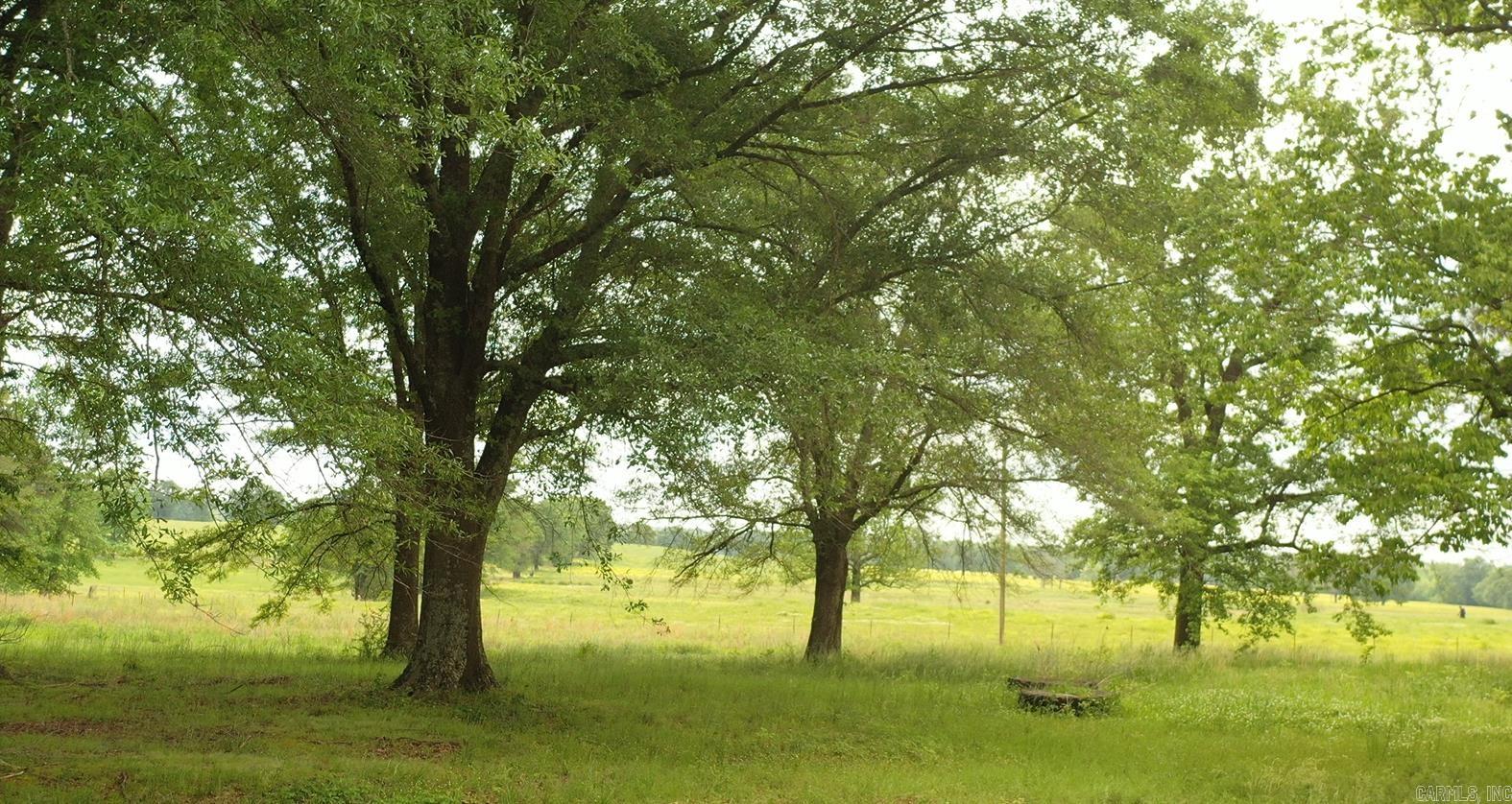 255 CR 270  Emmet, AR