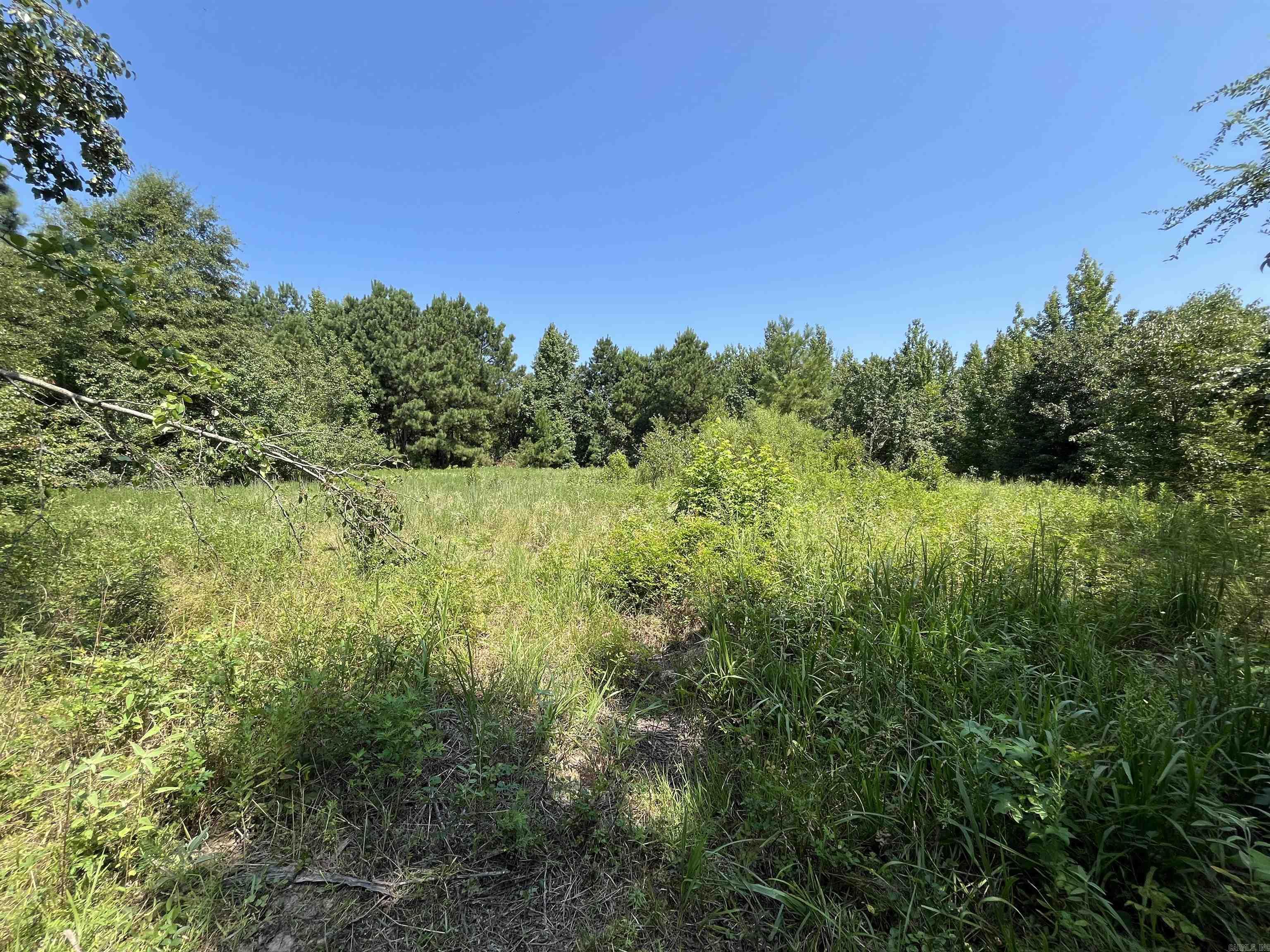 179 Little River 67  Ashdown, AR