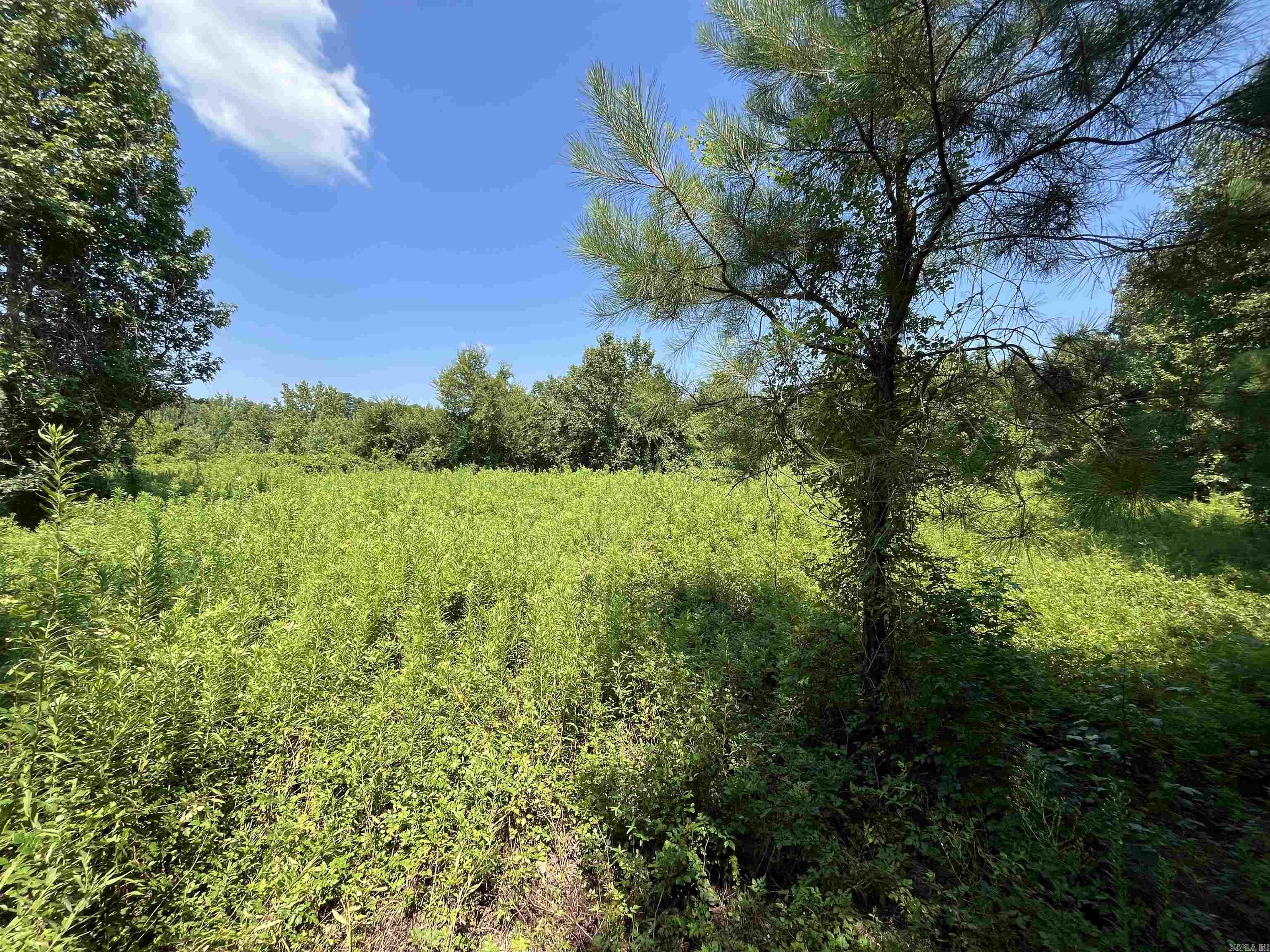 179 Little River 67  Ashdown, AR