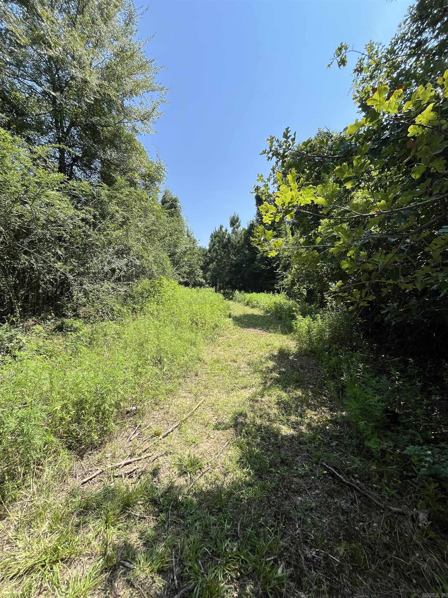 179 Little River 67  Ashdown, AR