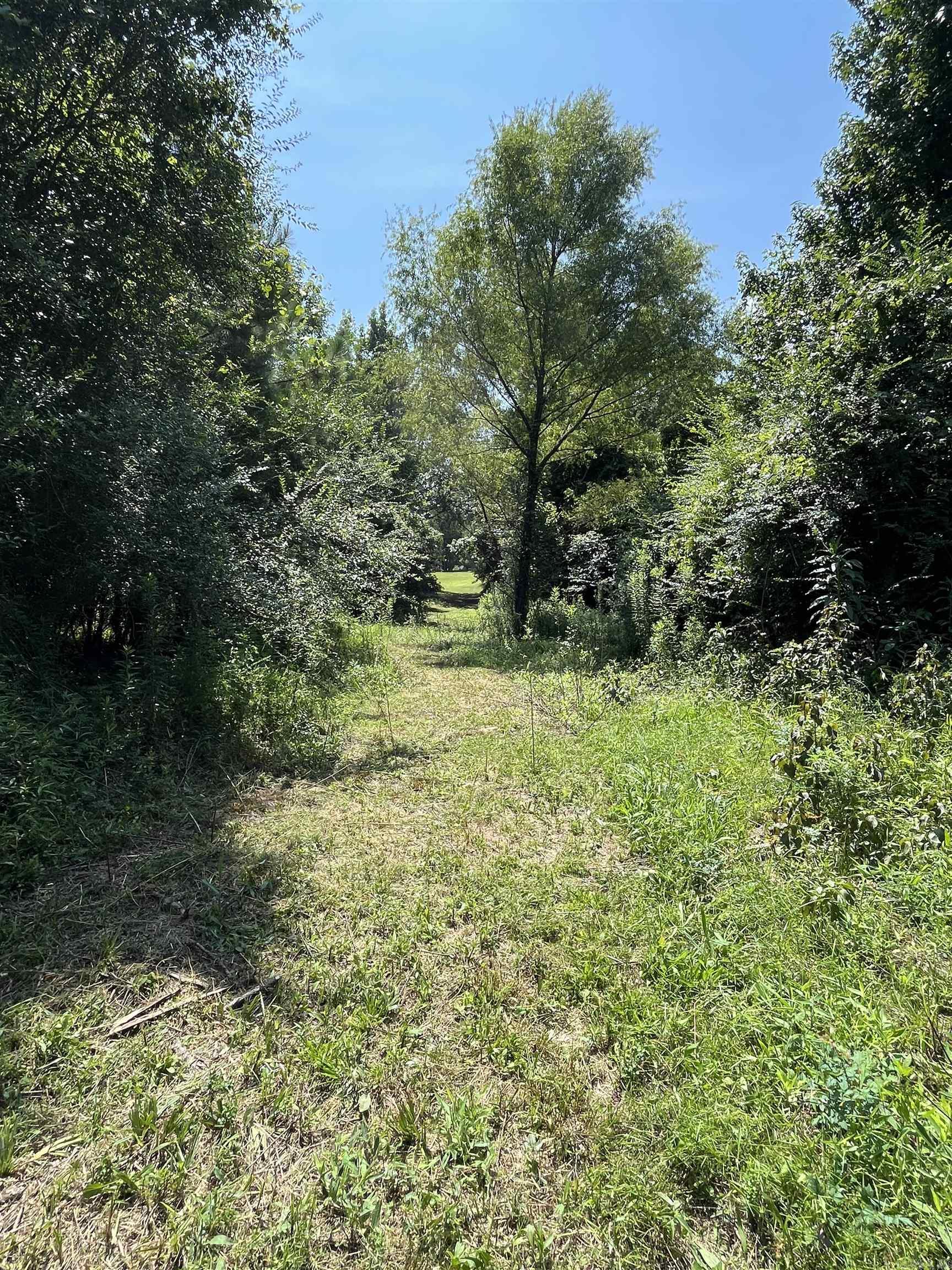 179 Little River 67  Ashdown, AR